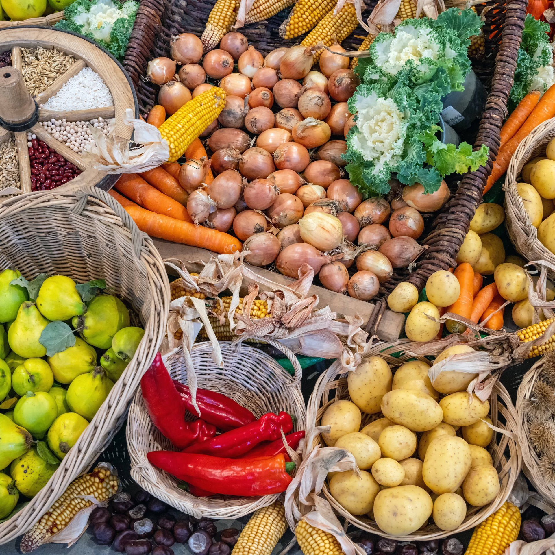 Coplant-Studie: Wie geht‘s uns ohne Fleisch?