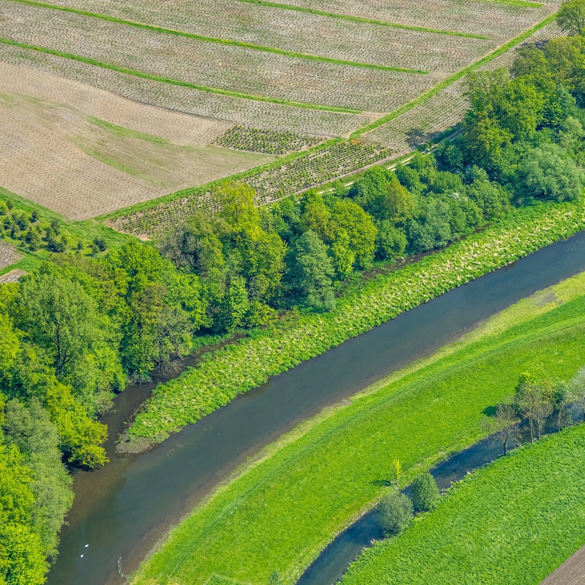 Kommentar: EU-Renaturierungsgesetz ist dringend notwendig