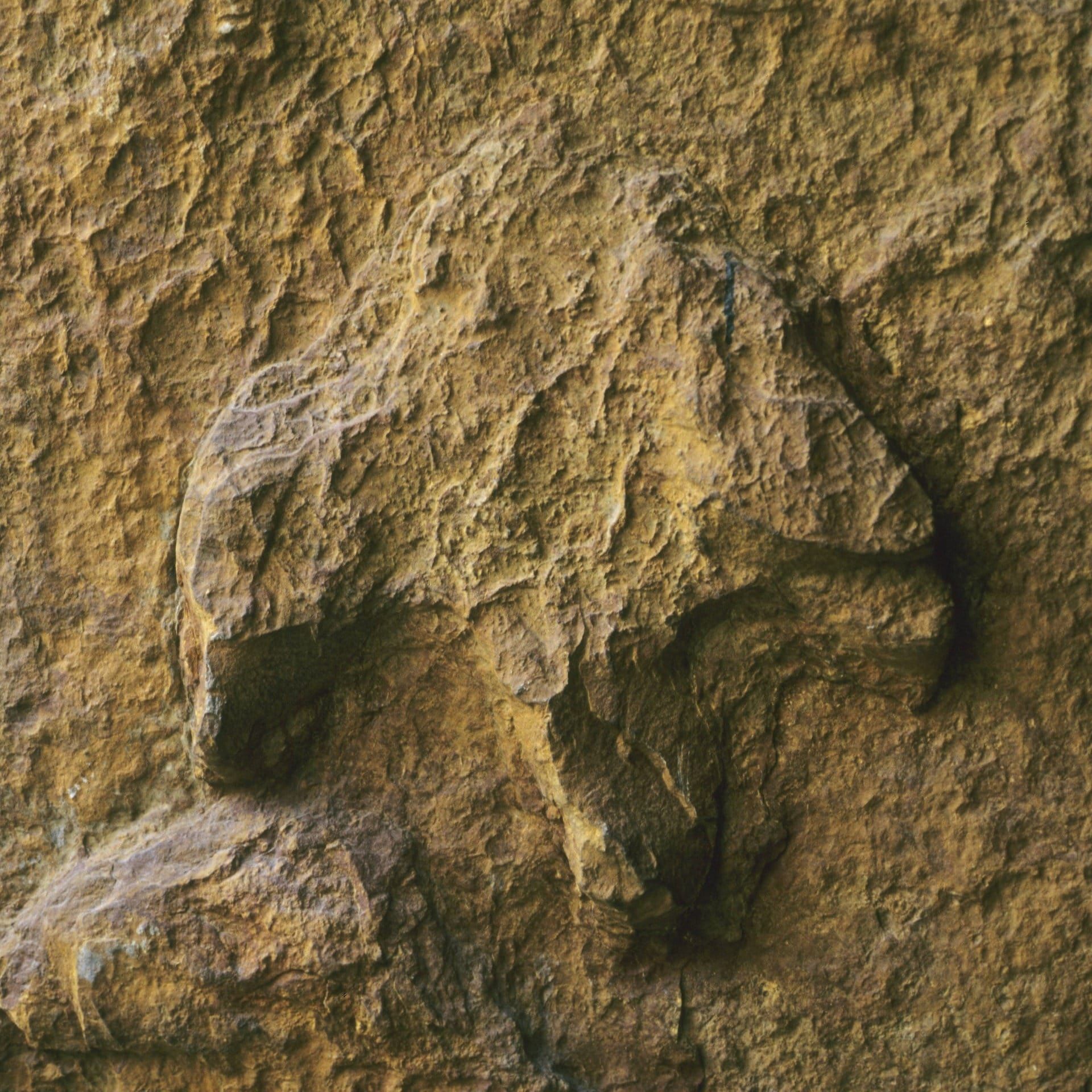 Warum sind die Dinosaurier ausgestorben?