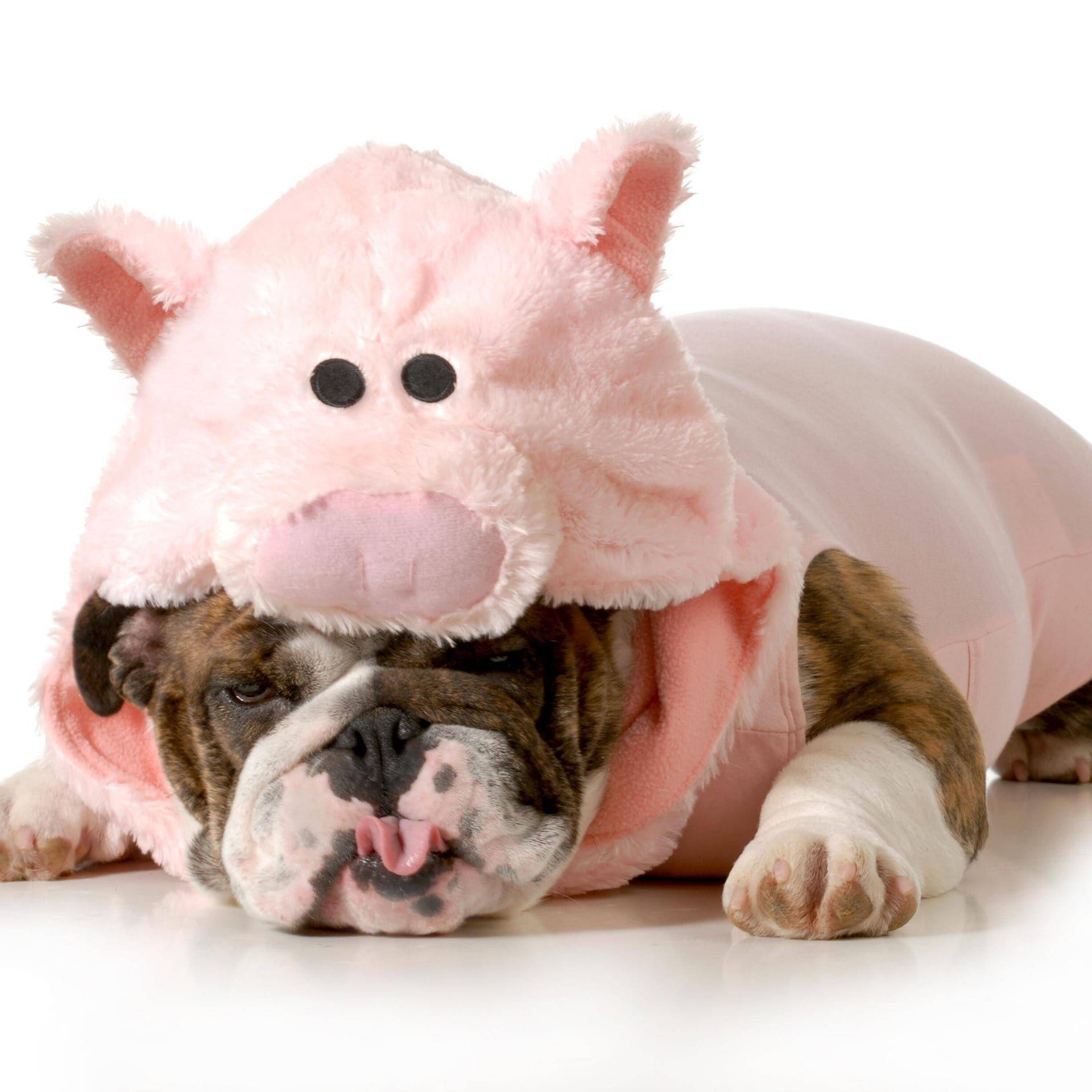 Woher kommt "den inneren Schweinehund überwinden"?
