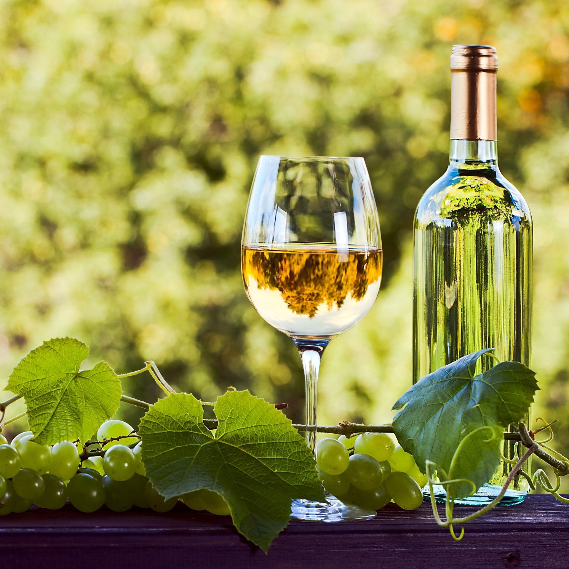 Wie klimaschädlich ist Wein?