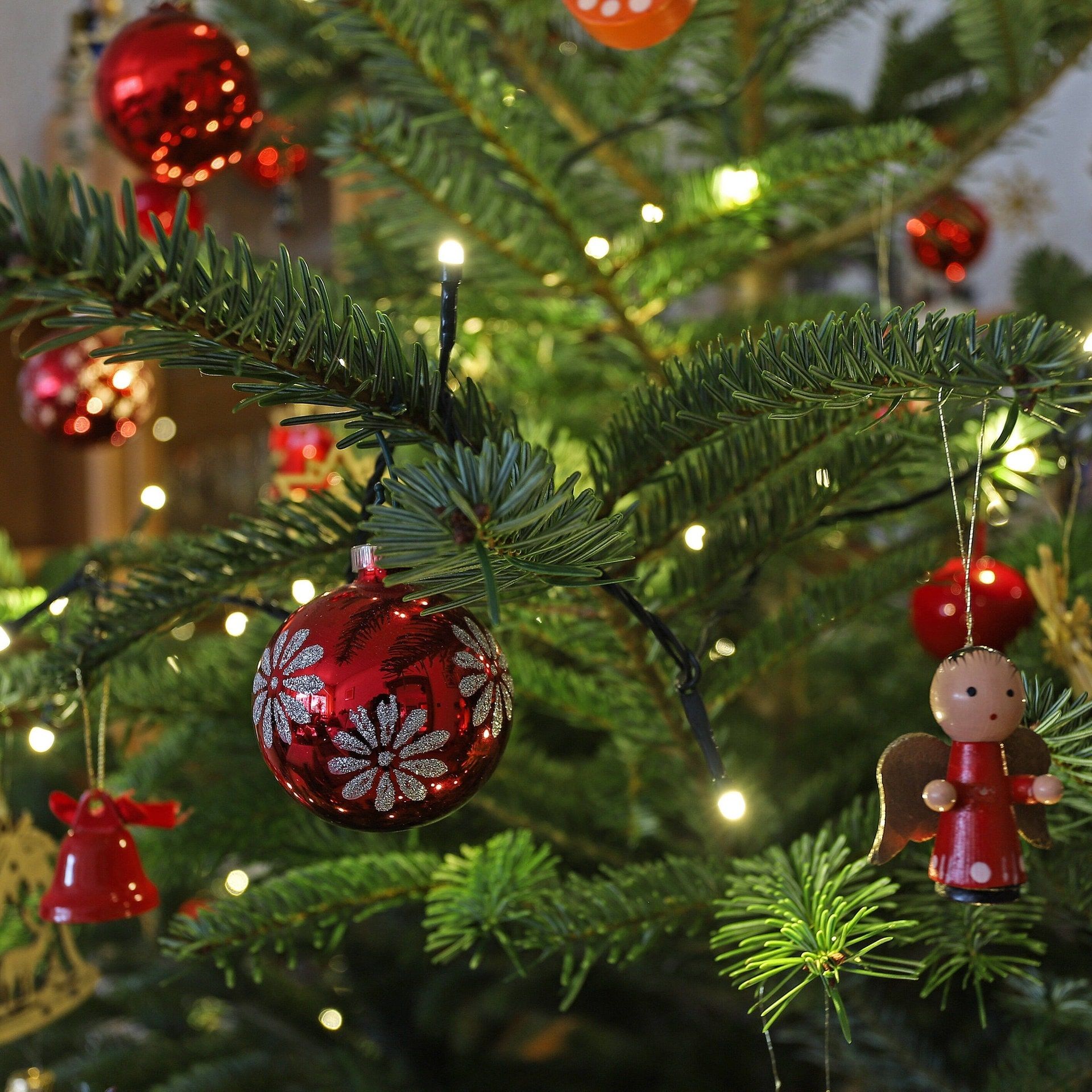 Seit wann gibt es den Weihnachtsbaum?