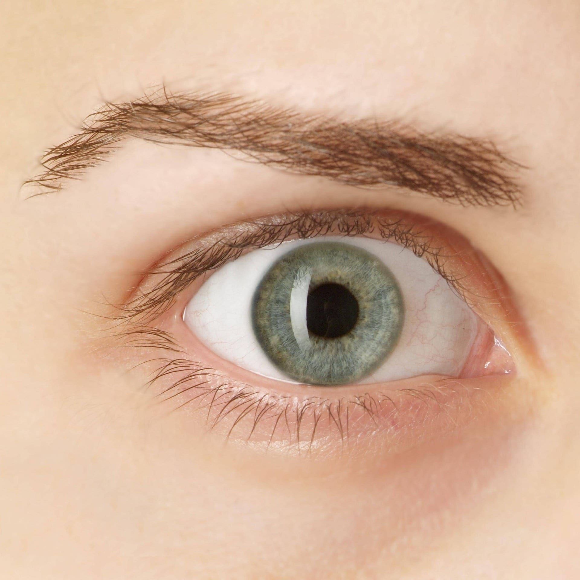 Warum zucken wir manchmal mit dem Auge?