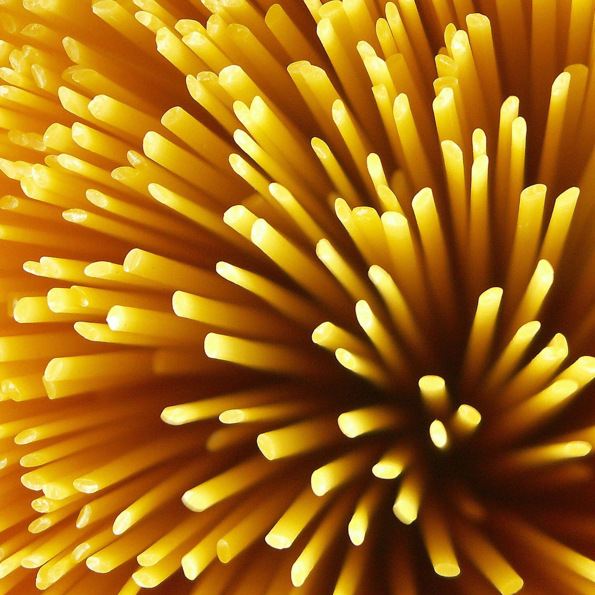 Warum sind Spaghetti so lang?