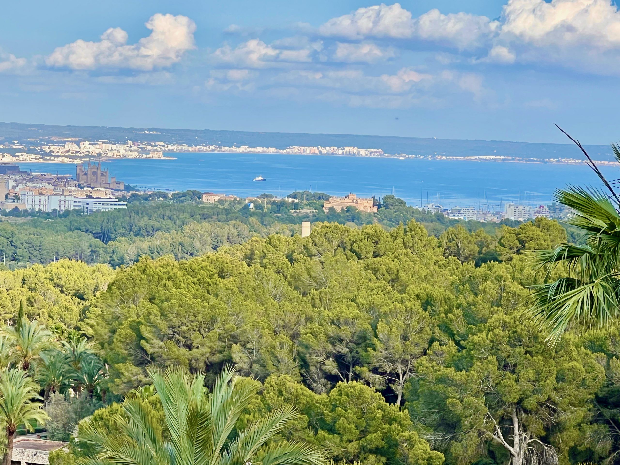 5 Minuten Mallorca | Nachrichten am 5. Juni 2023
