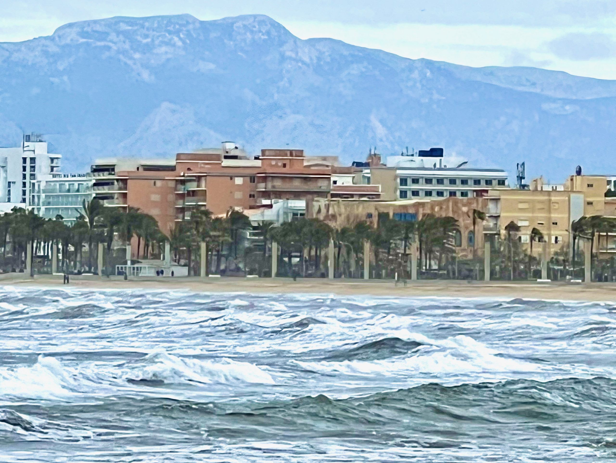5 Minuten Mallorca | Nachrichten am 26. Februar 2024