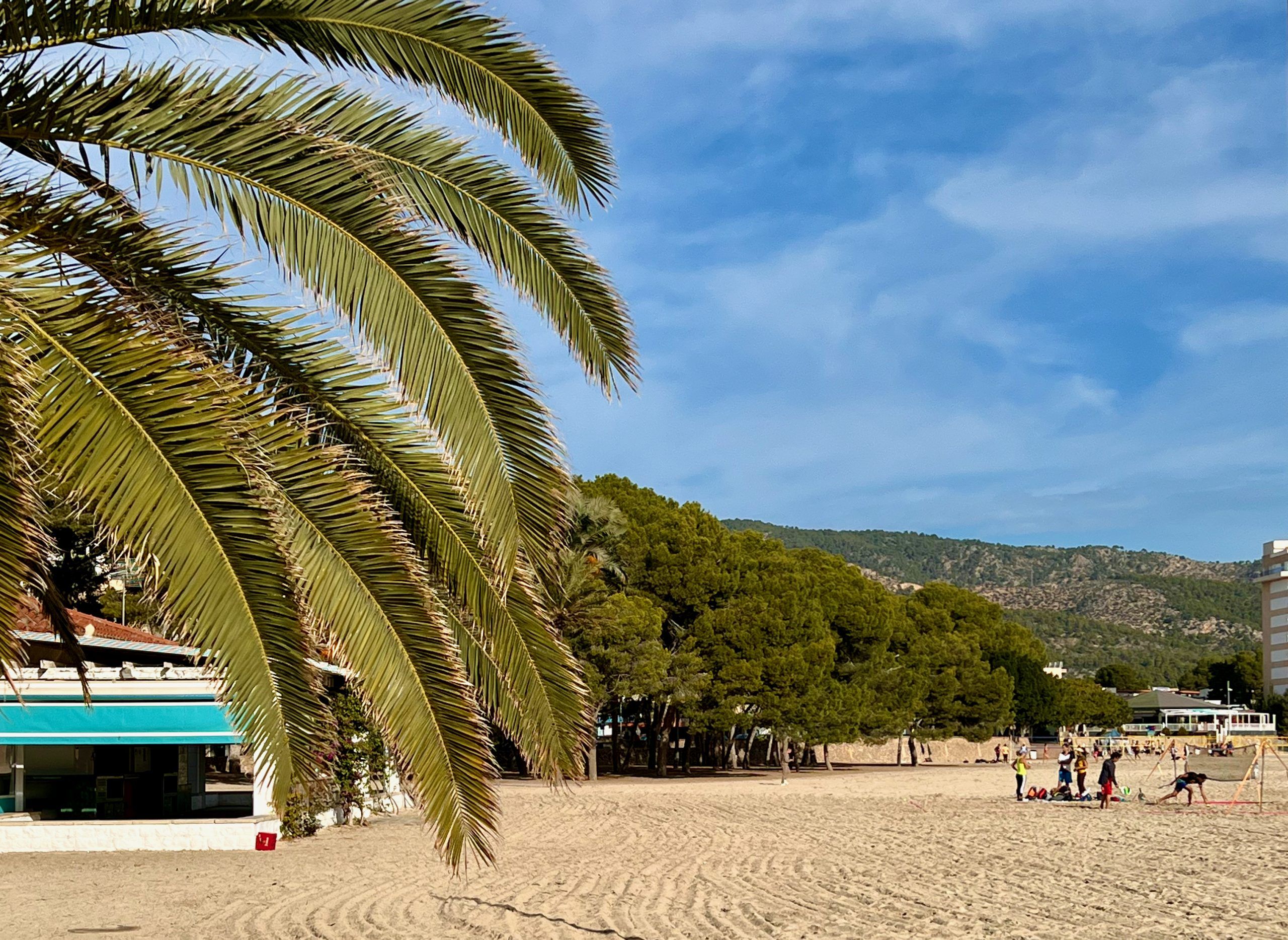 5 Minuten Mallorca | Nachrichten am 14. Februar 2024