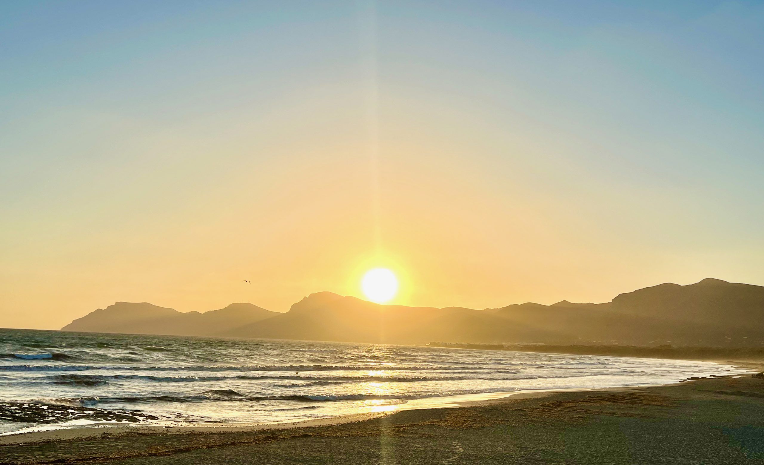 5 Minuten Mallorca | Nachrichten am 24. April 2024