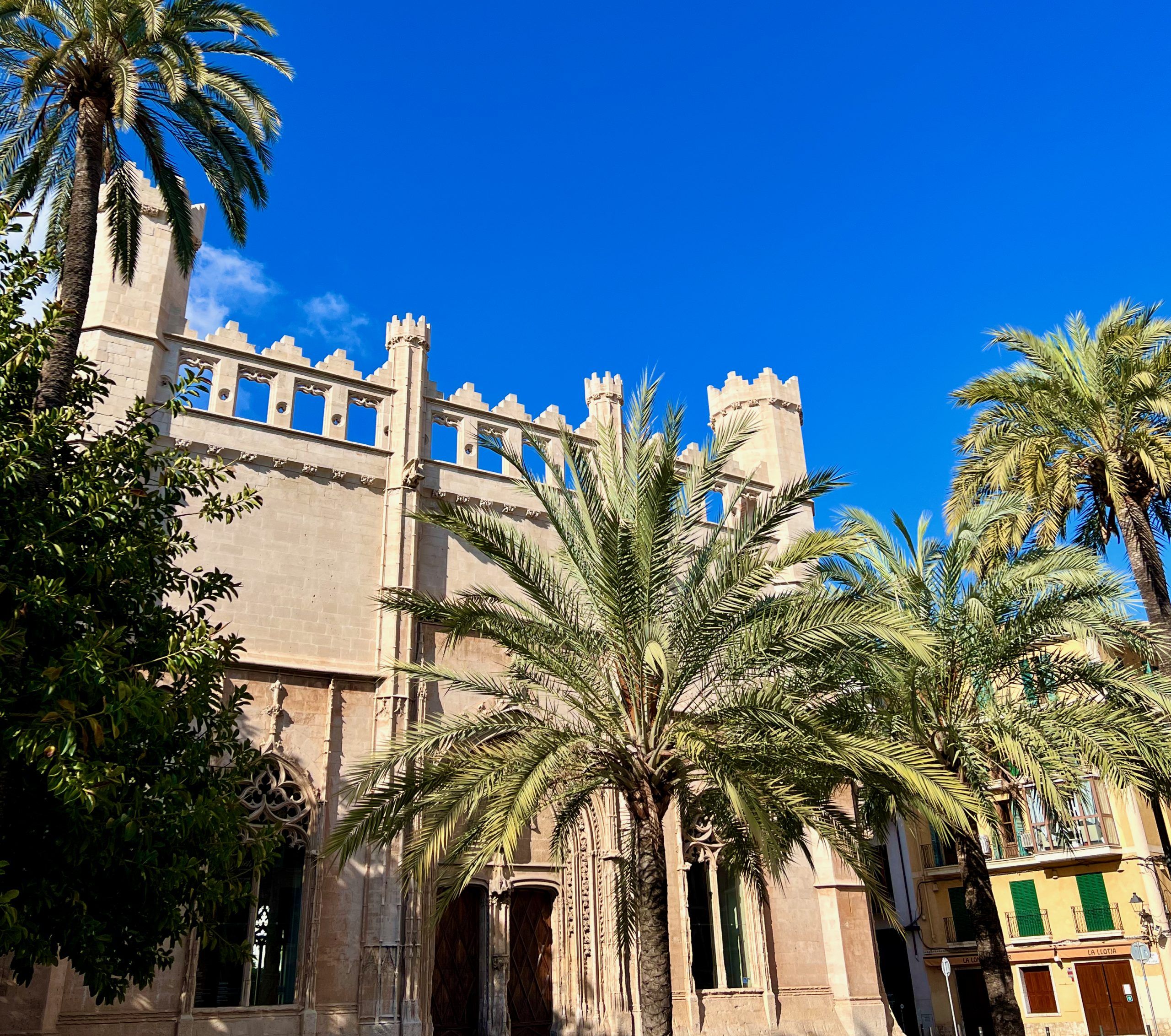 5 Minuten Mallorca | Nachrichten am 20. März 2023