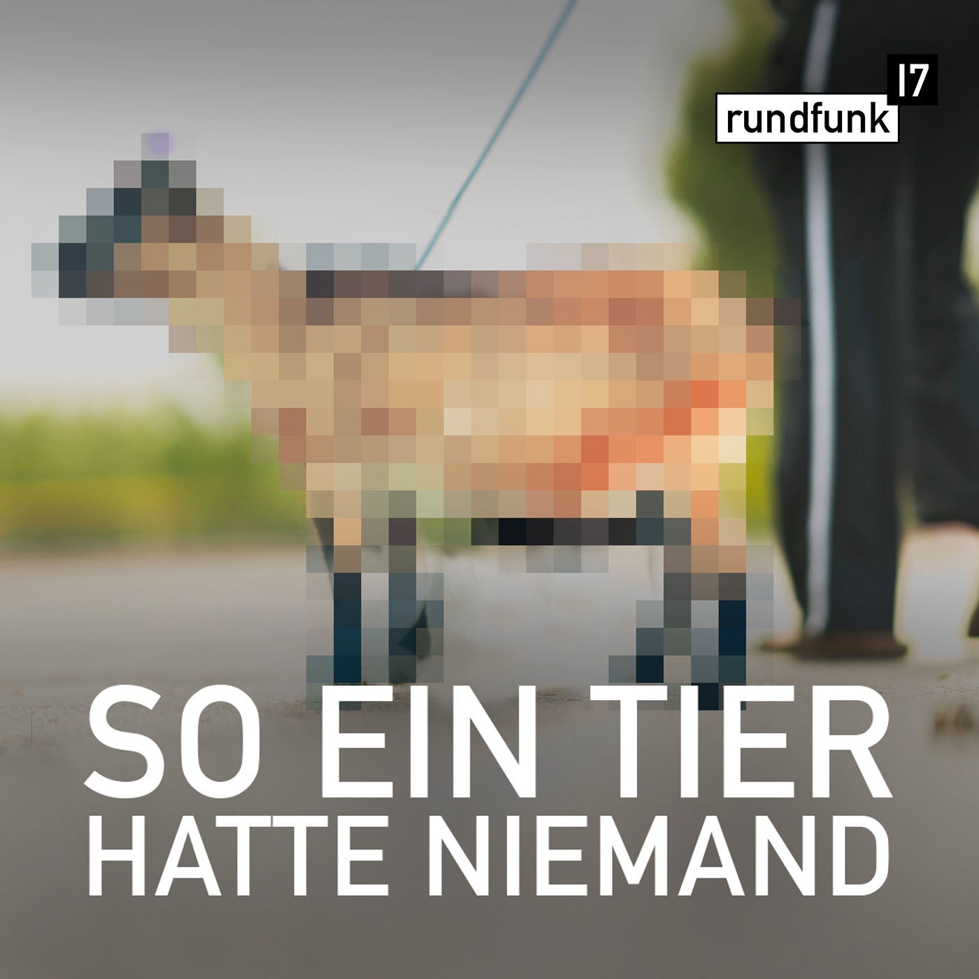Unser peinliches Haustier – #rundfunk17 Folge 136
