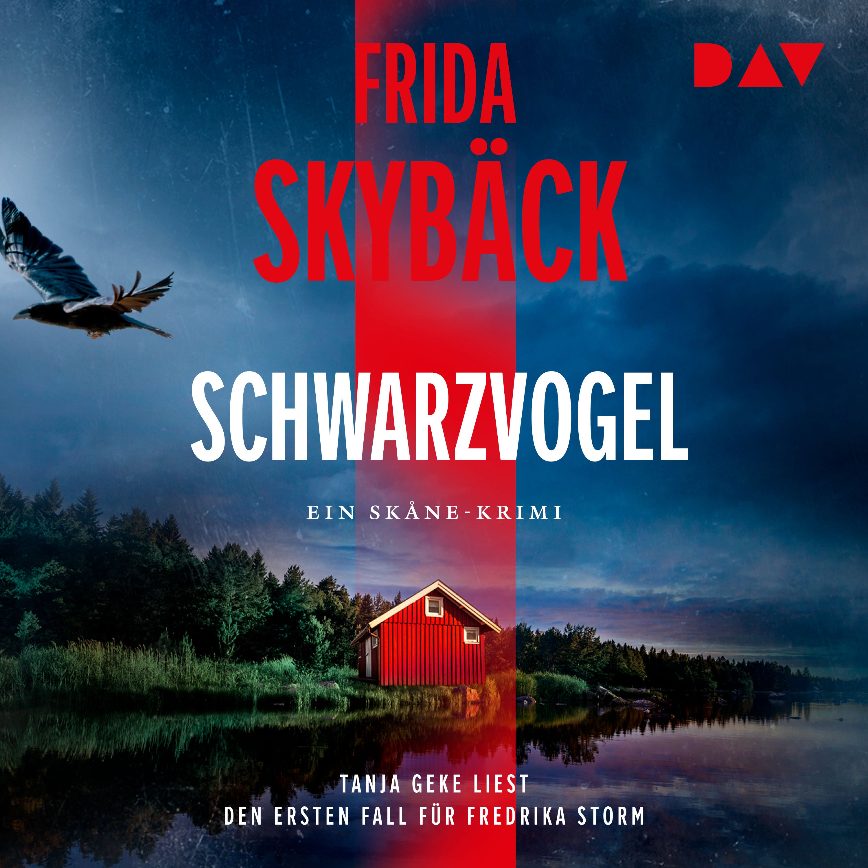 Schwarzvogel. Der erste Fall für Fredrika Storm