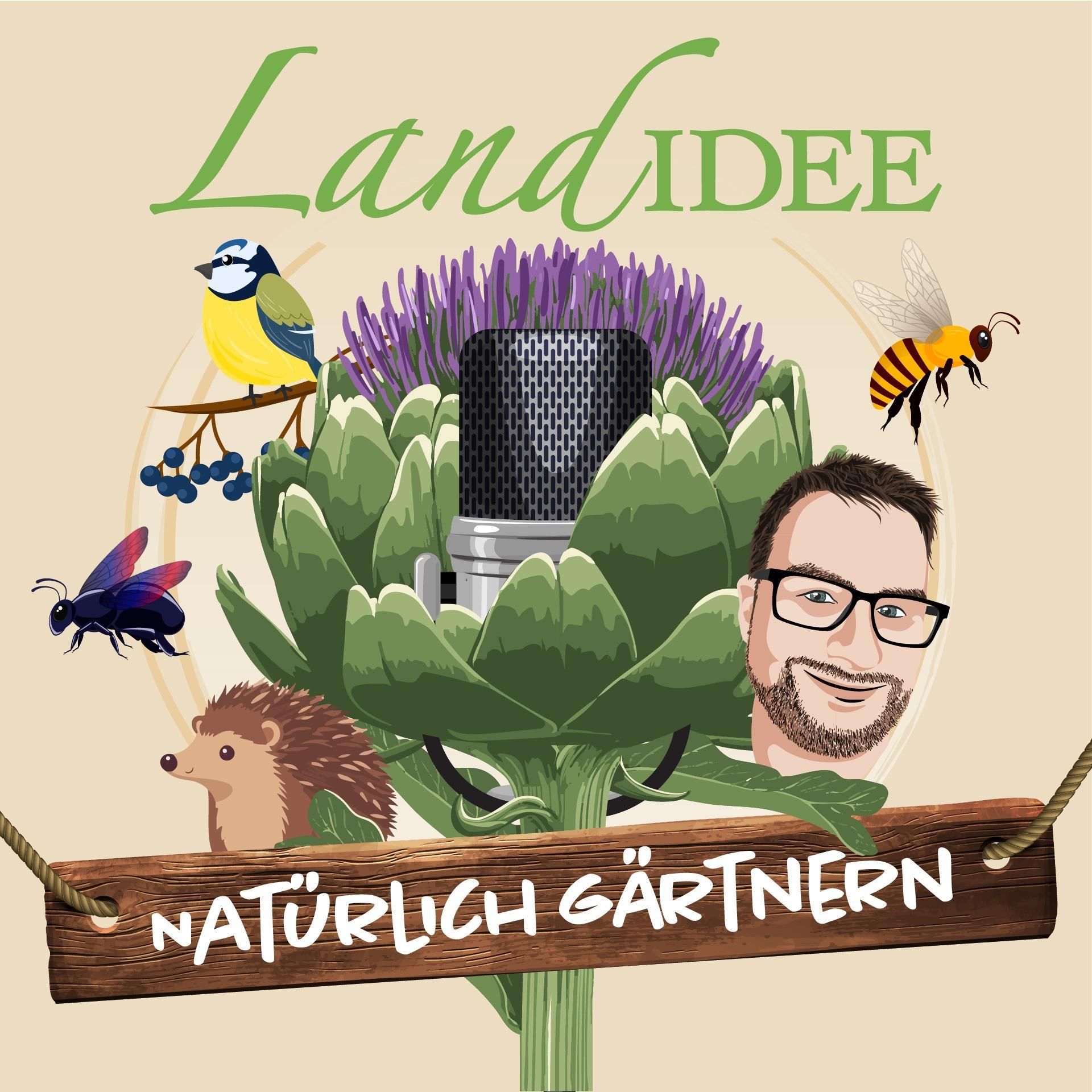 Hühner zähmen leicht gemacht