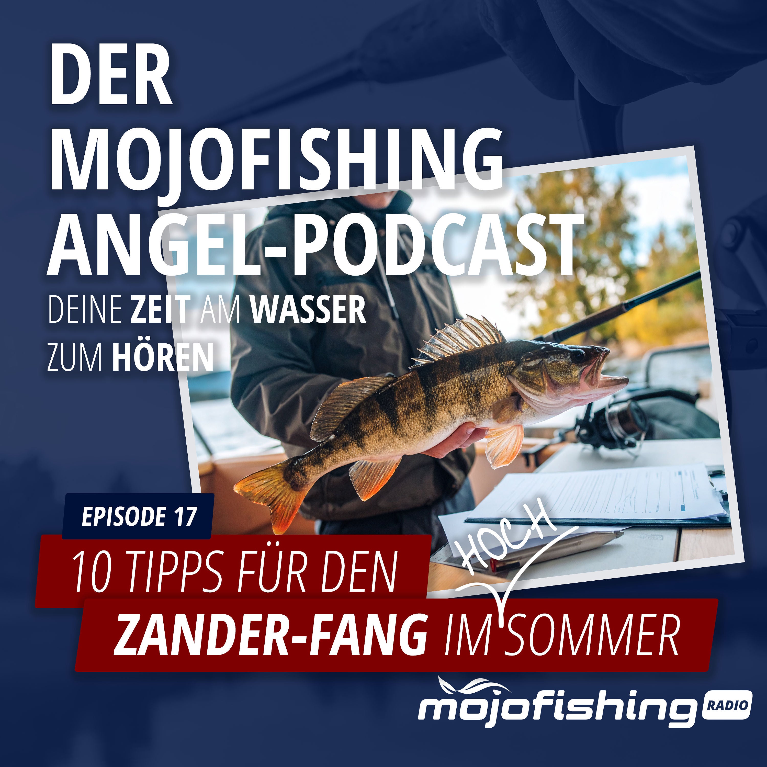 10 Tipps für den Zander-Fang im Sommer