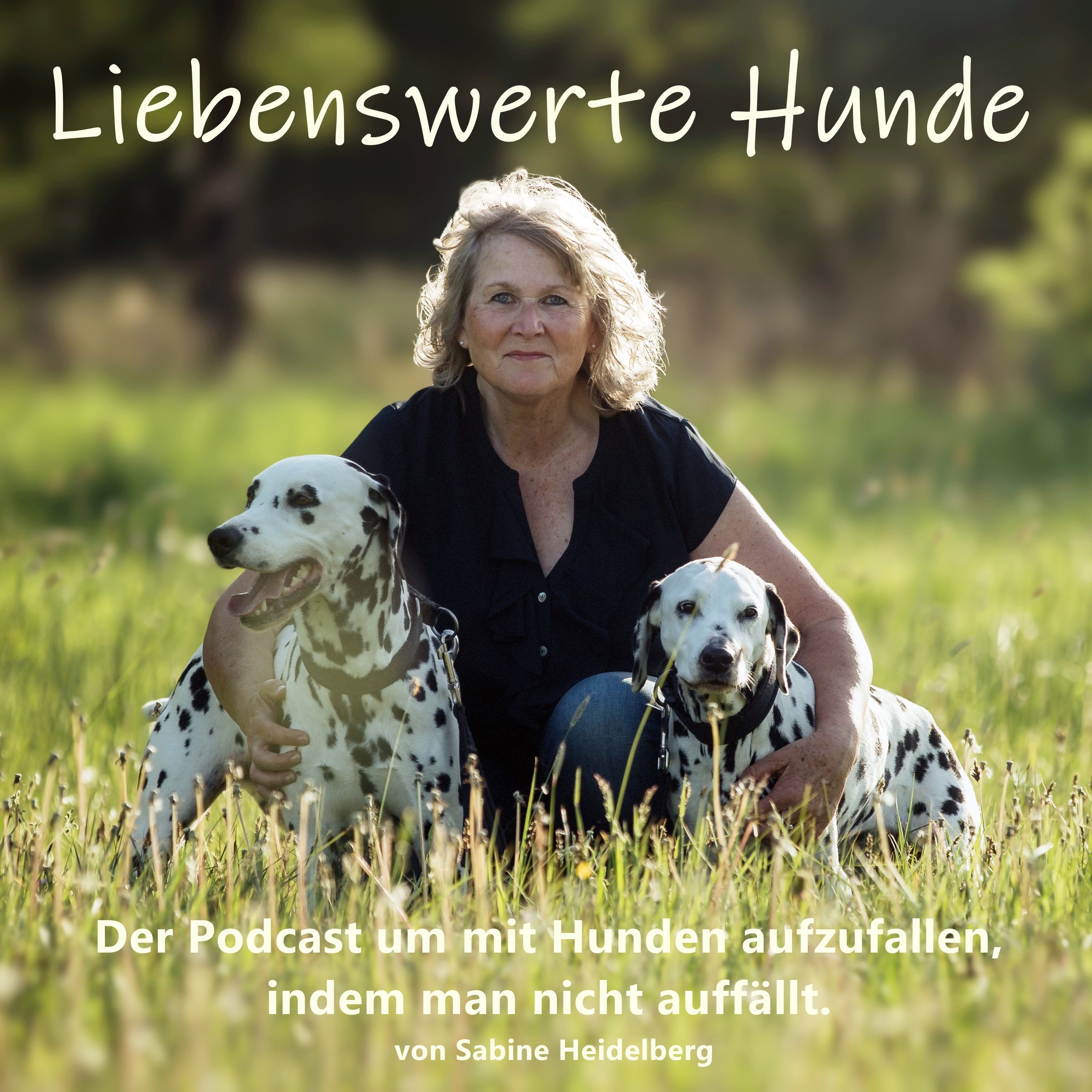 Liebenswerte Hunde - Mit Hunden auffallen, indem man nicht auffällt.