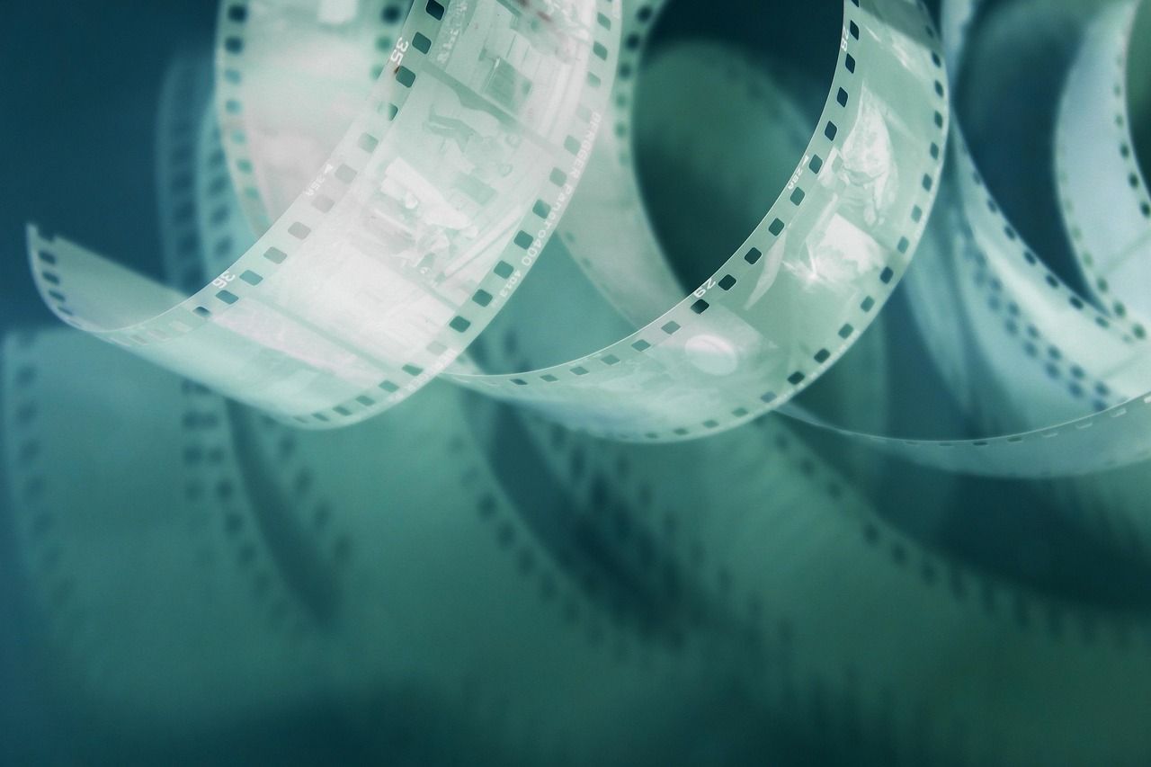 Tierische Leinwandhelden: Wie kommen sie zum Film?