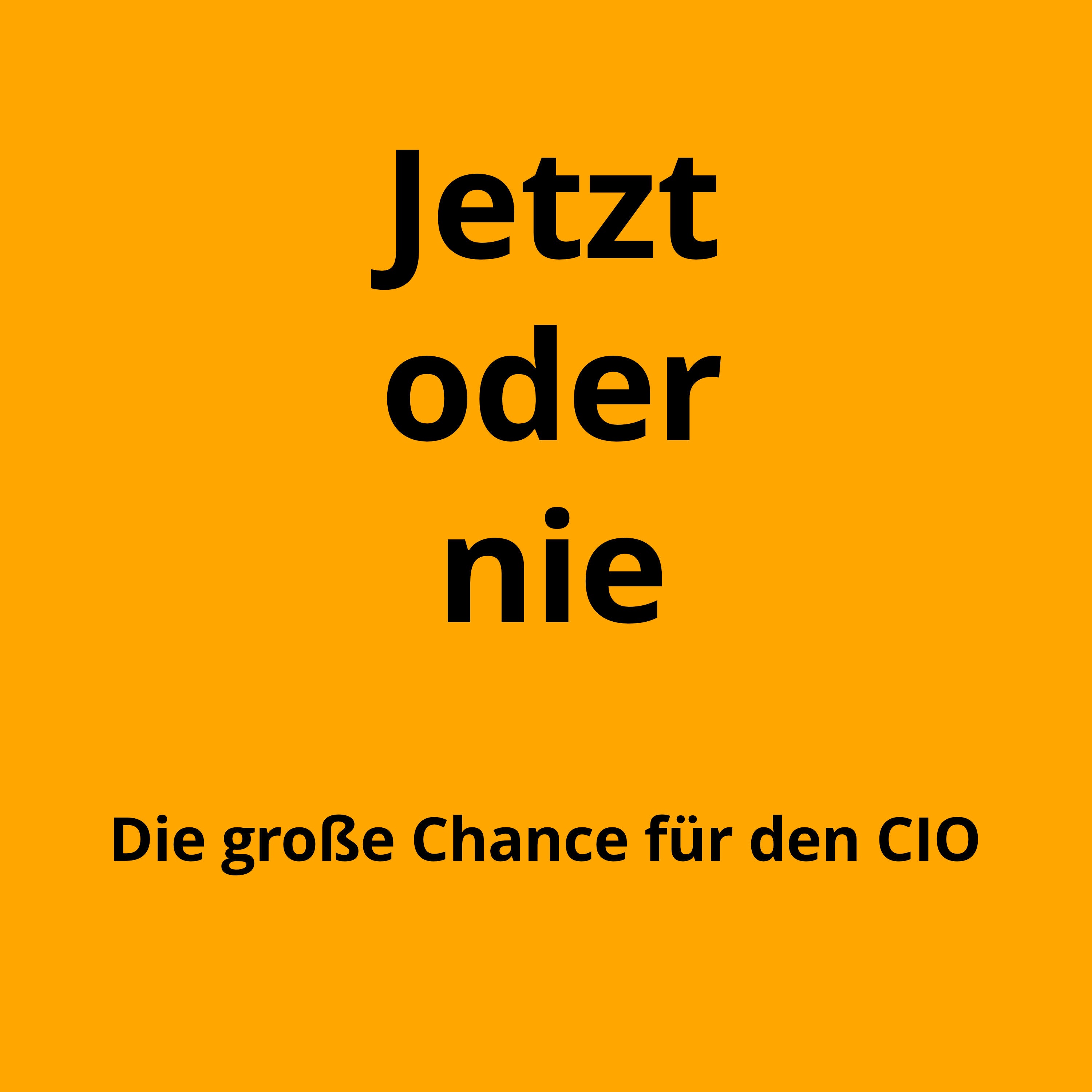 Die große Chance für den CIO!
