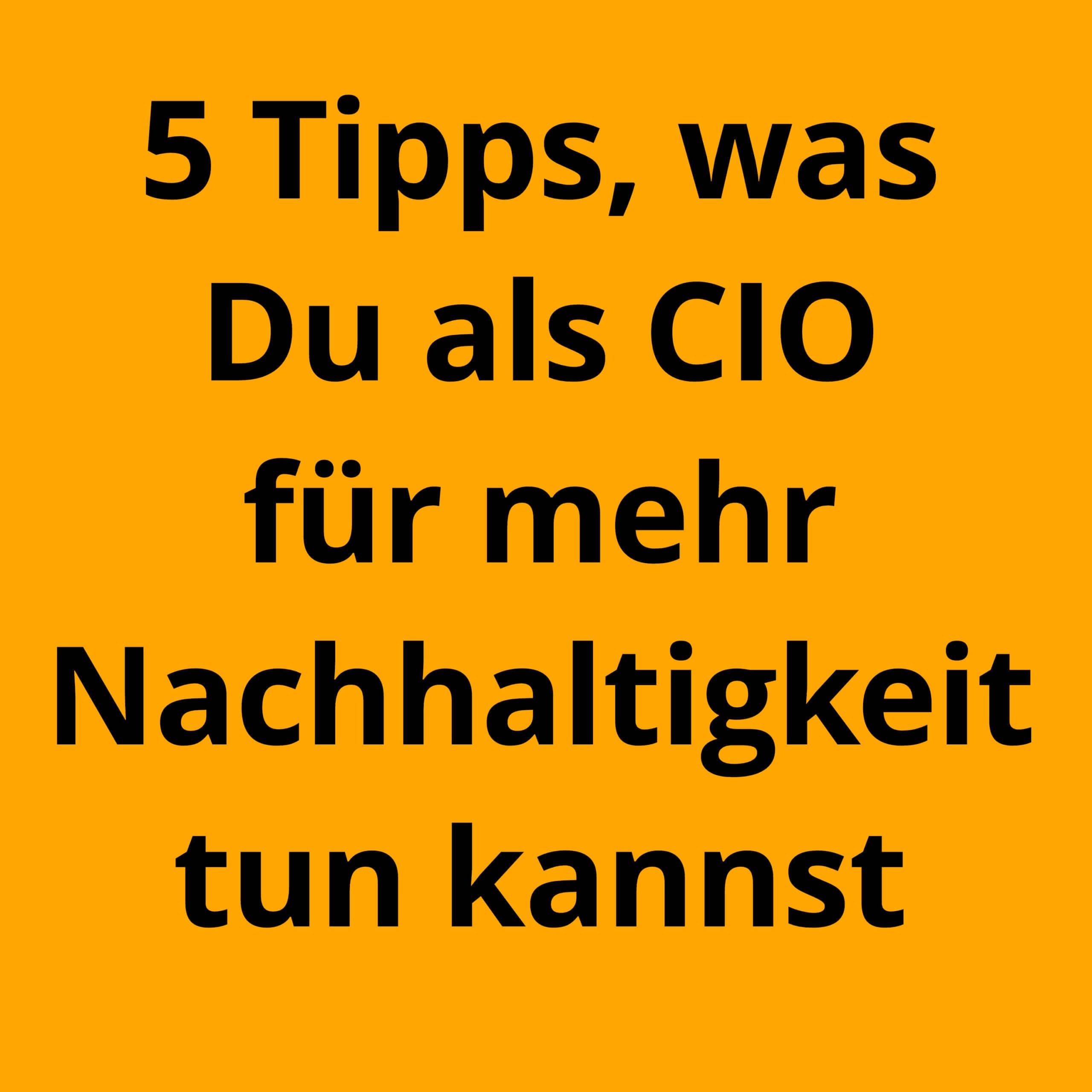 9 konkrete Tipps, was Du als CIO für mehr Nachhaltigkeit tun kannst