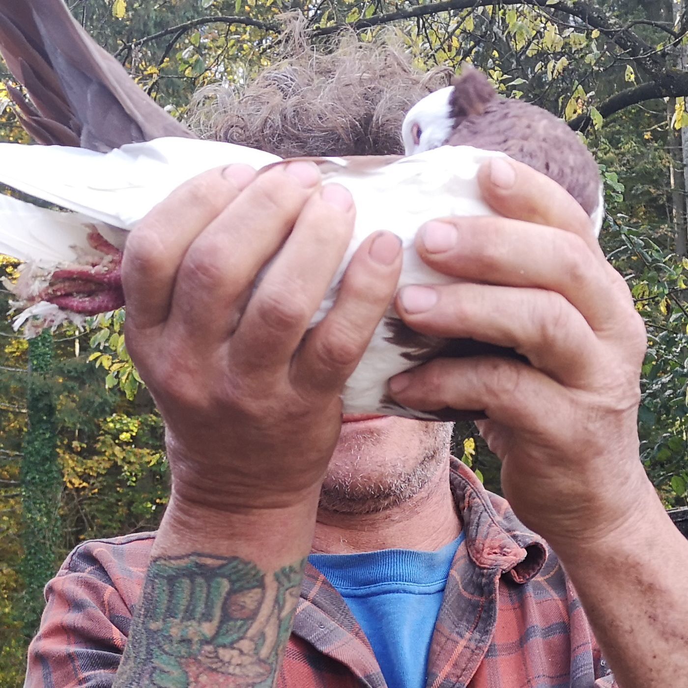 Vom Rockstar zum Taubenzüchter