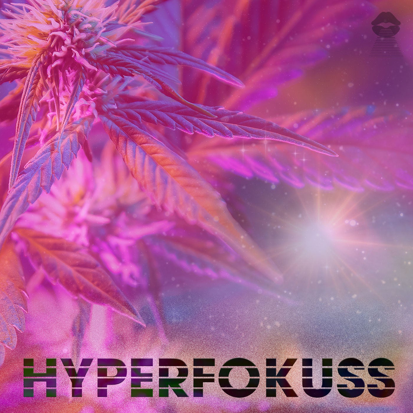 CANNABIS? Dein Ernst? Teil 2 / Real Talk & Mindset mit Andrea