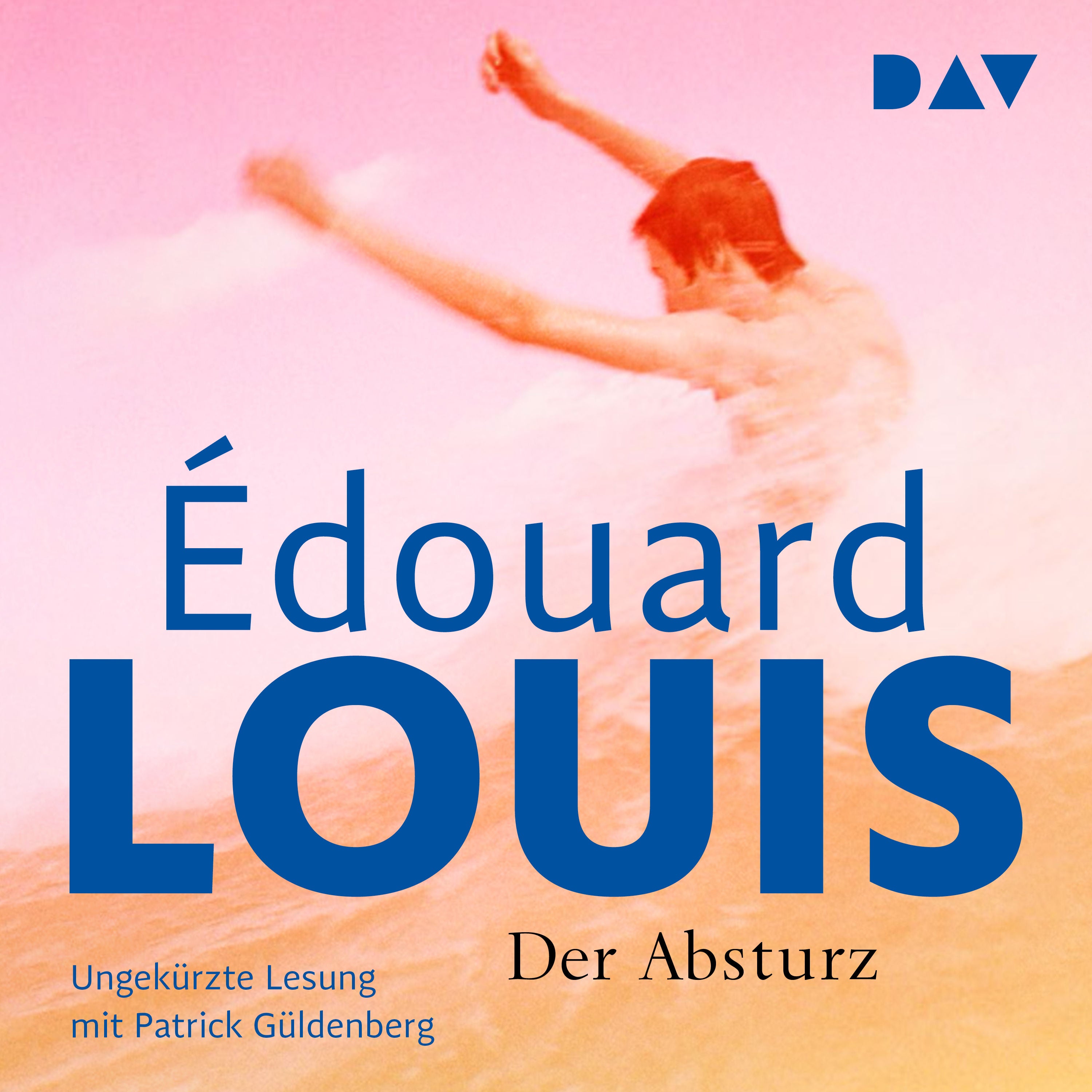 Der Absturz