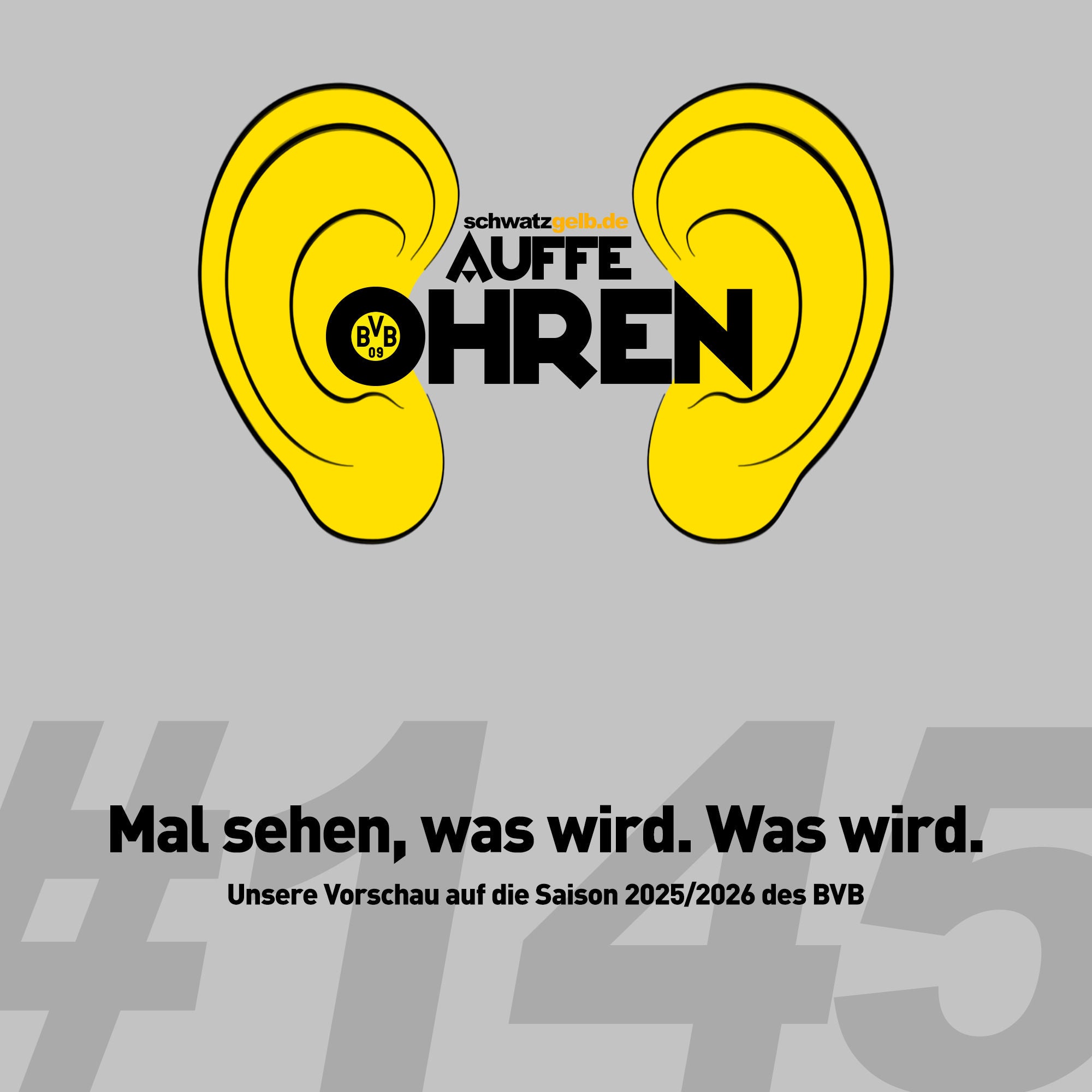 Auffe Ohren #145: Mal sehen, was wird. Was wird.