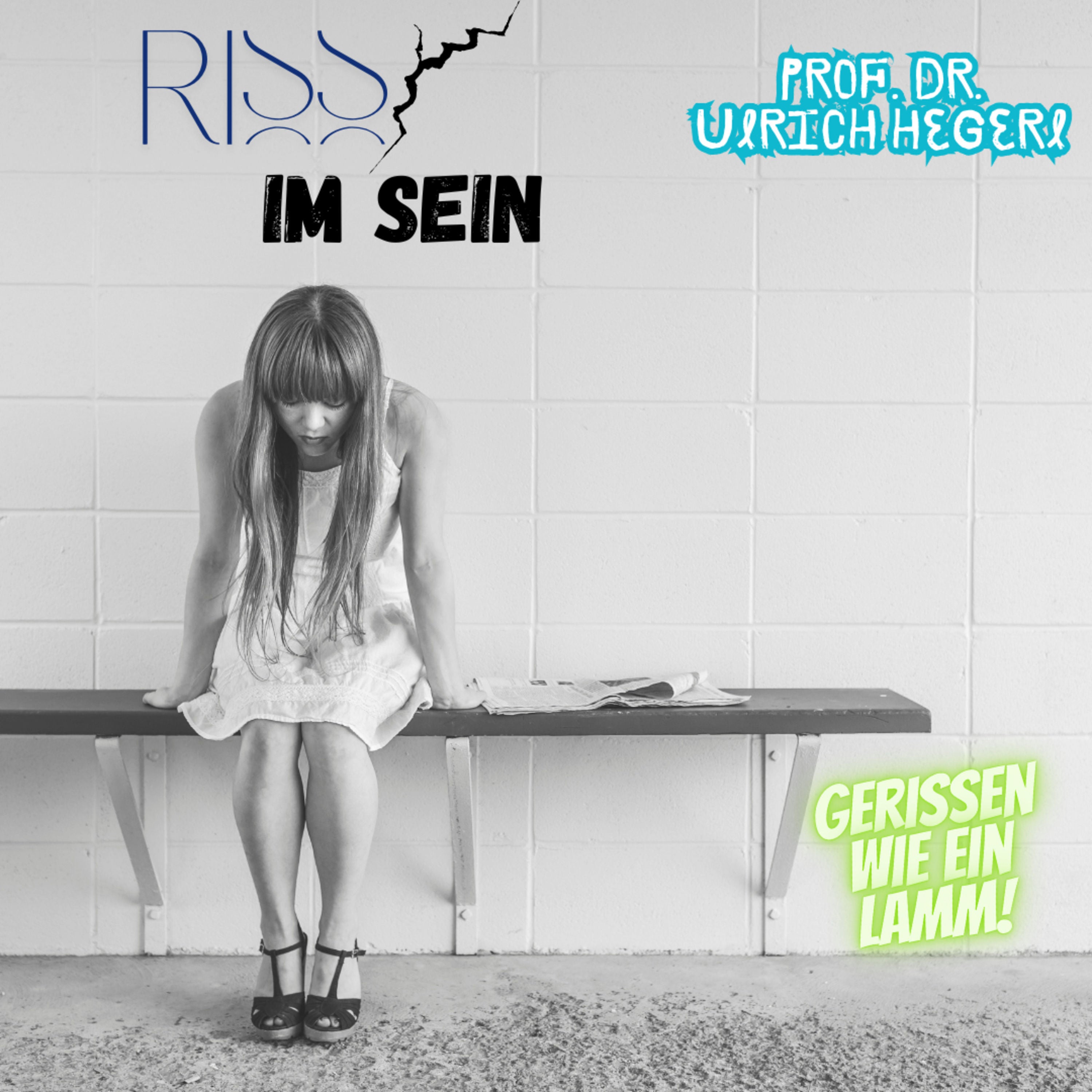 #40 Riss im Sein