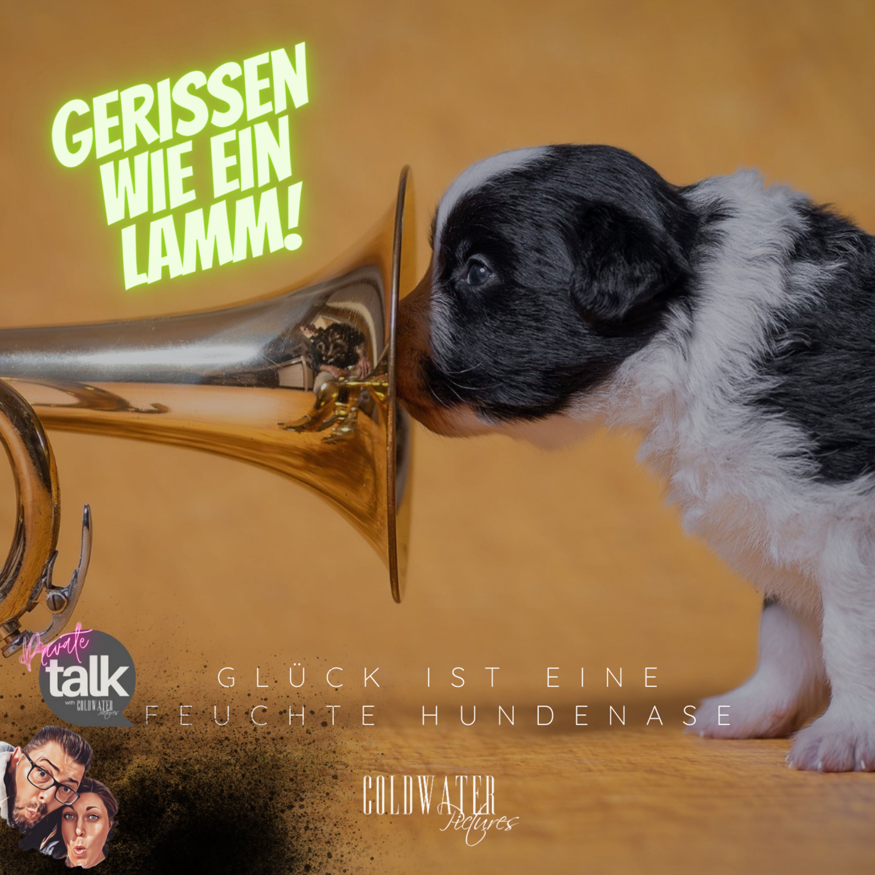 #16 Glück ist eine feuchte Hundenase