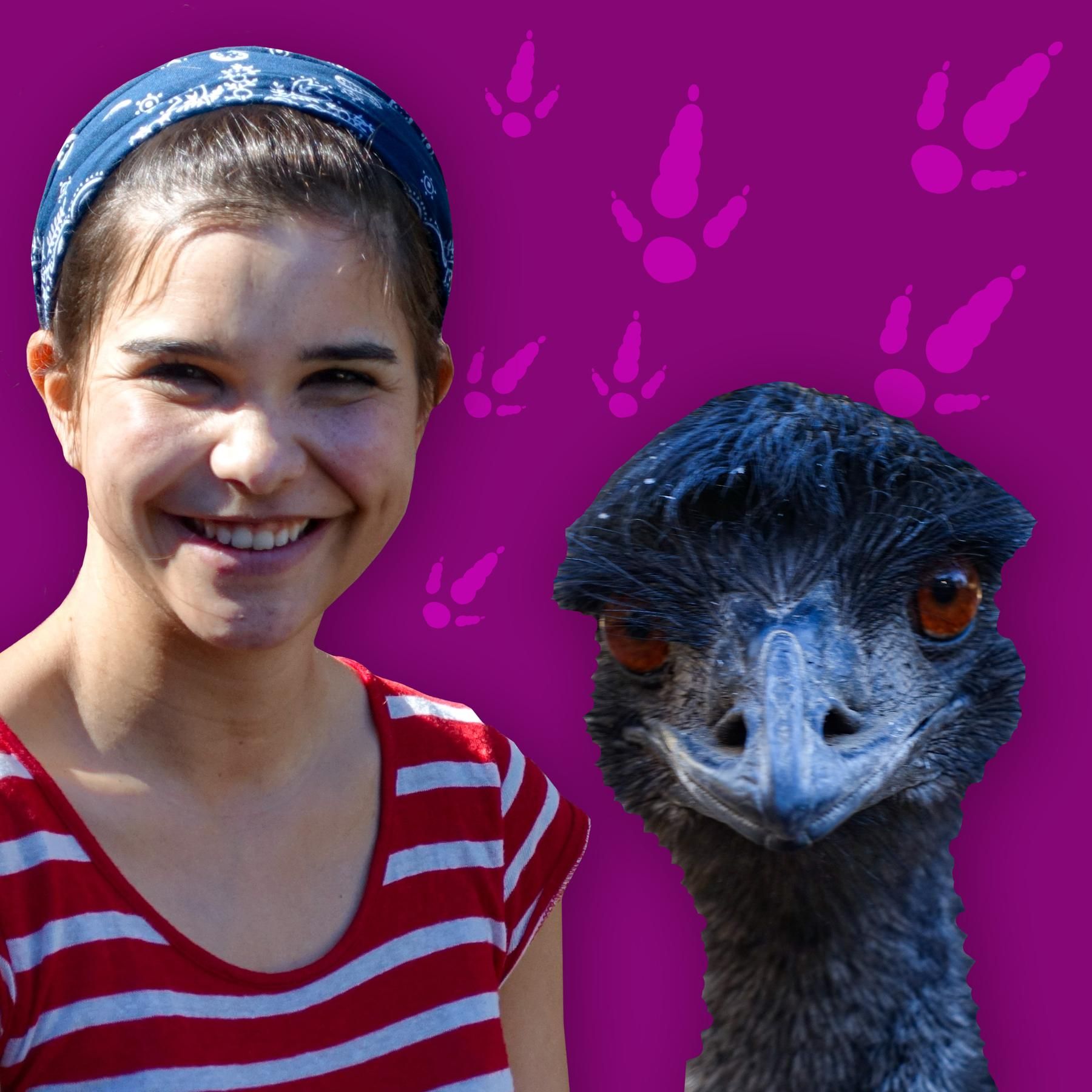 Emus – Australische Laufvögel mit besonderen Federn