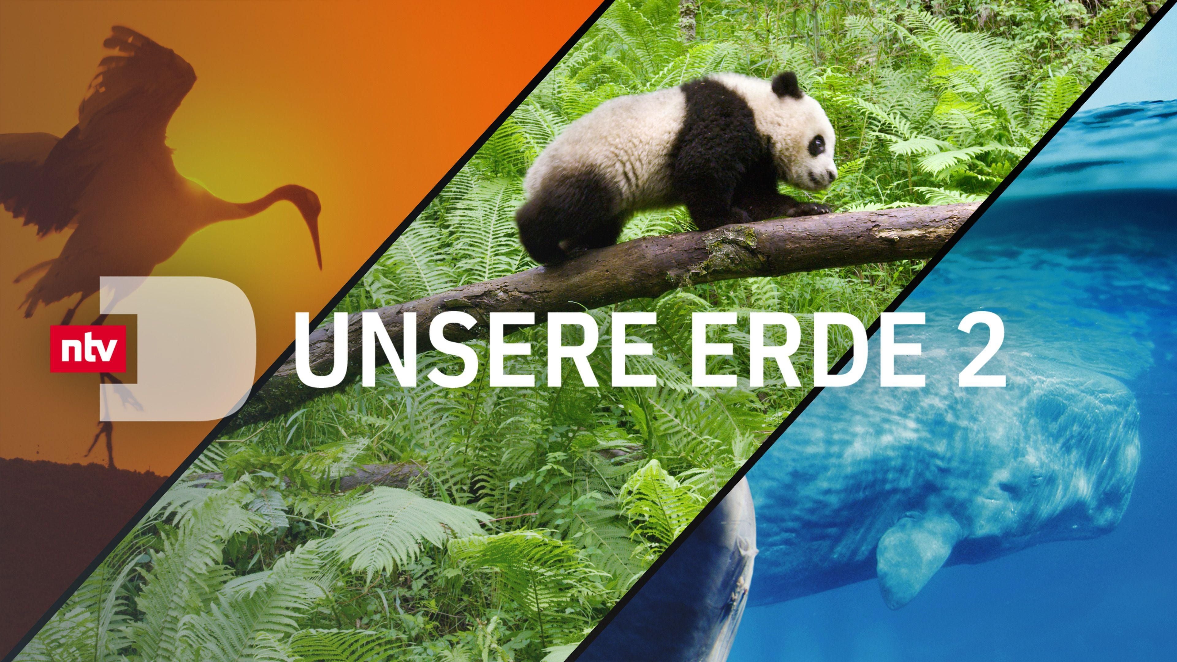 Unsere Erde 2