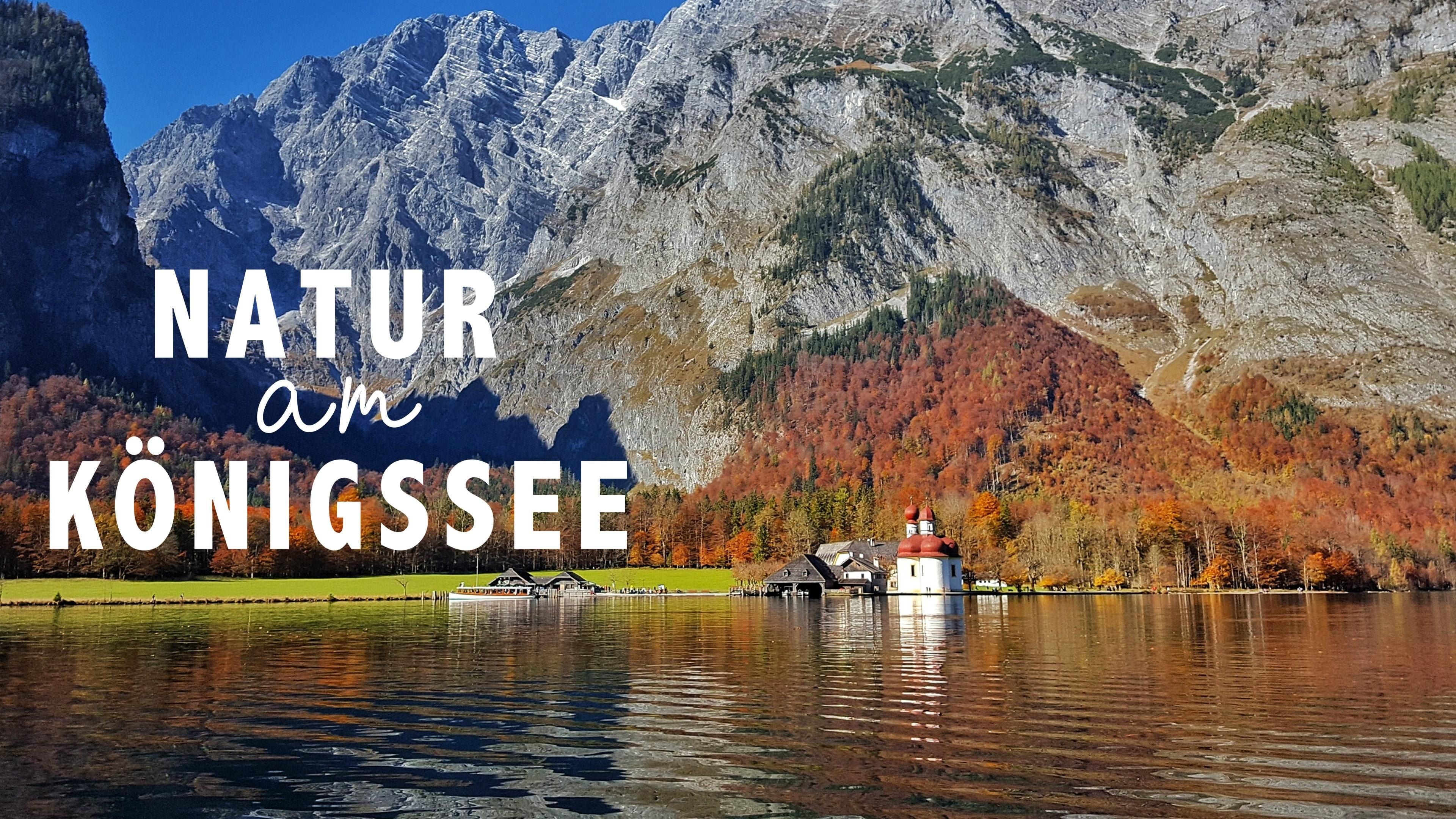 Natur am Königssee