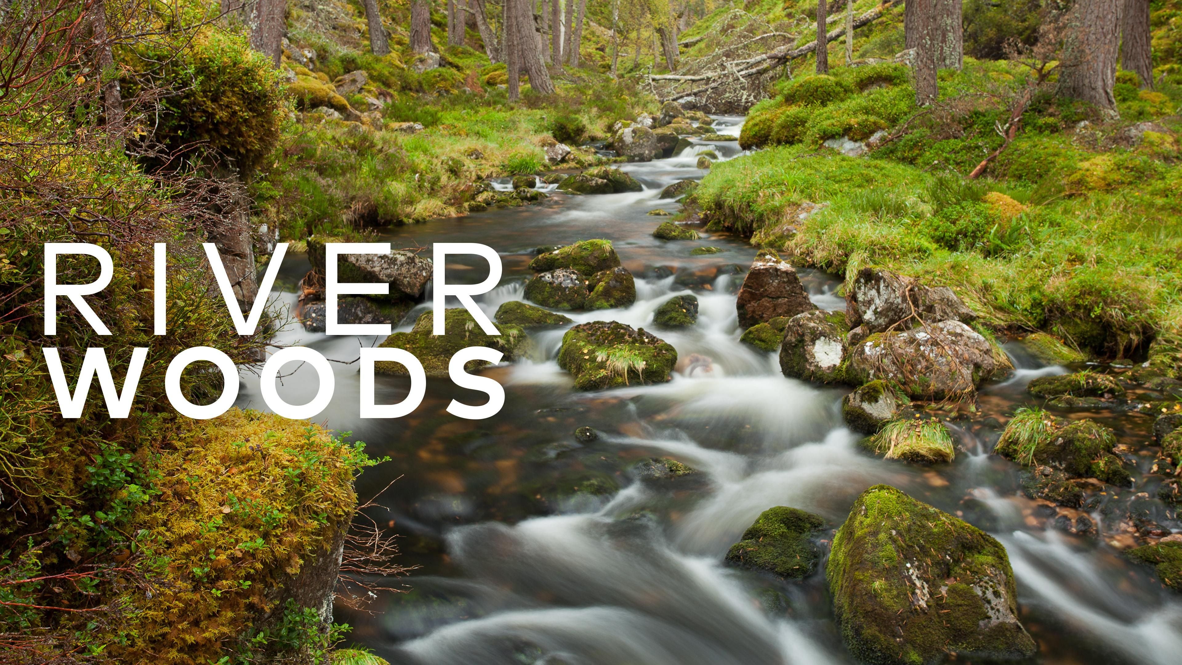 Riverwoods - Schottlands wilde Flüsse