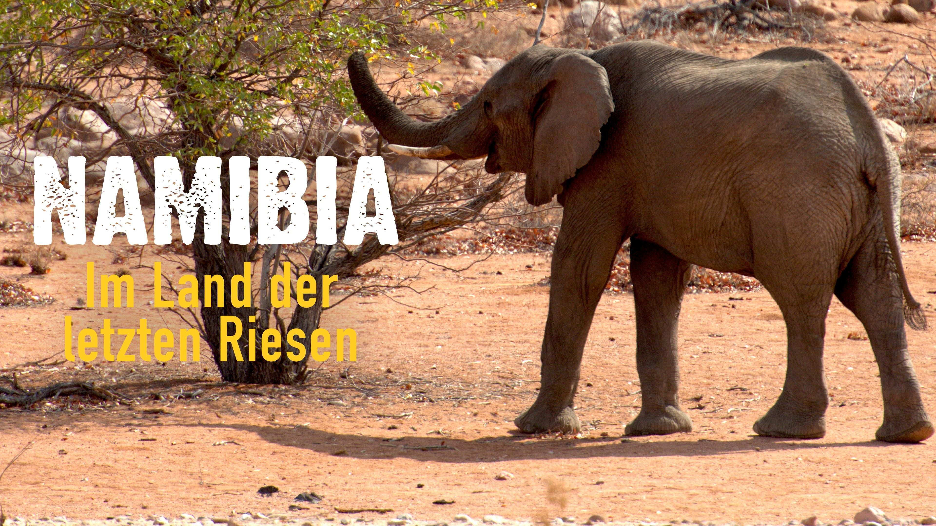 Namibia - Im Land der letzten Riesen