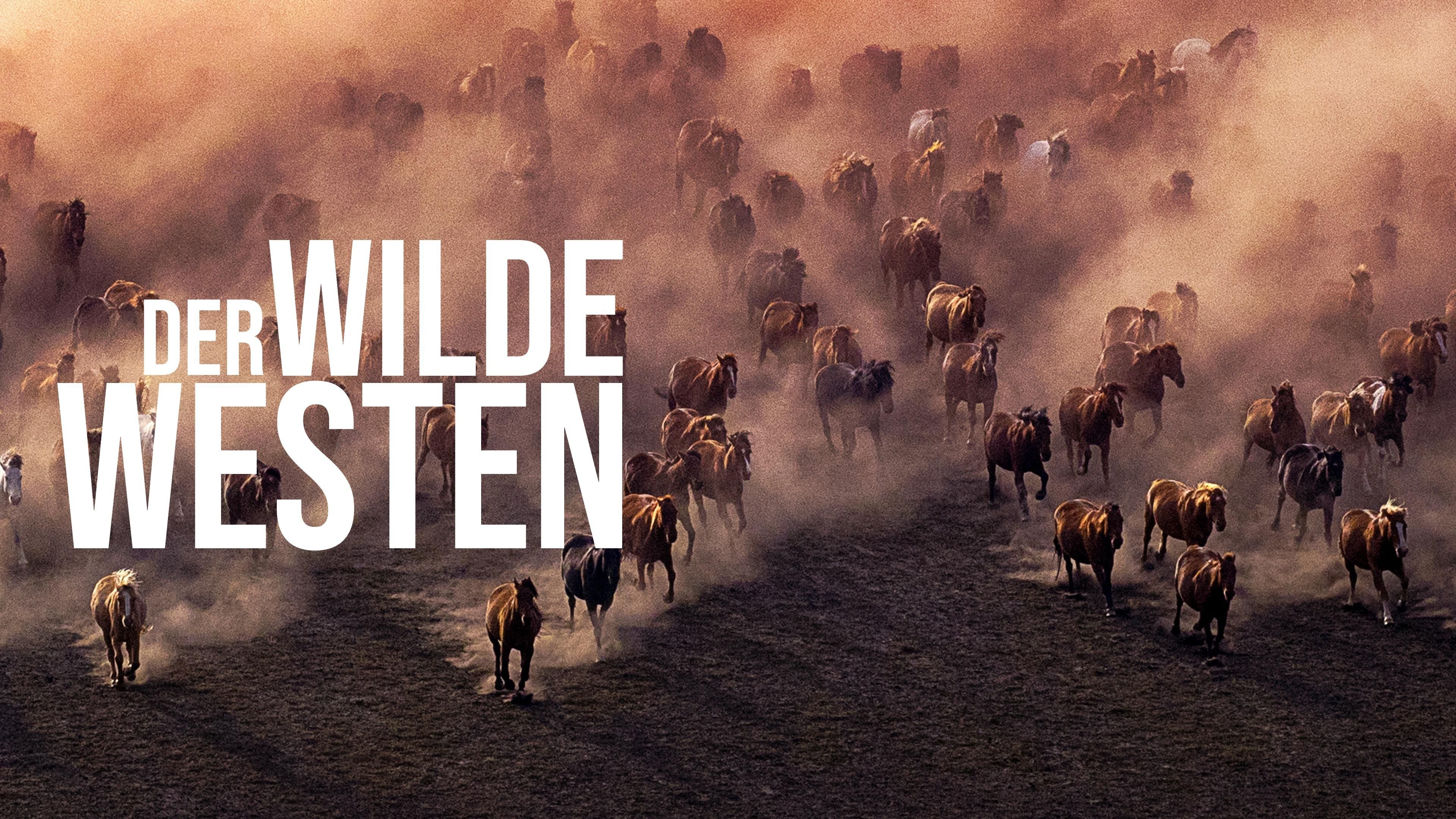 Der Wilde Westen