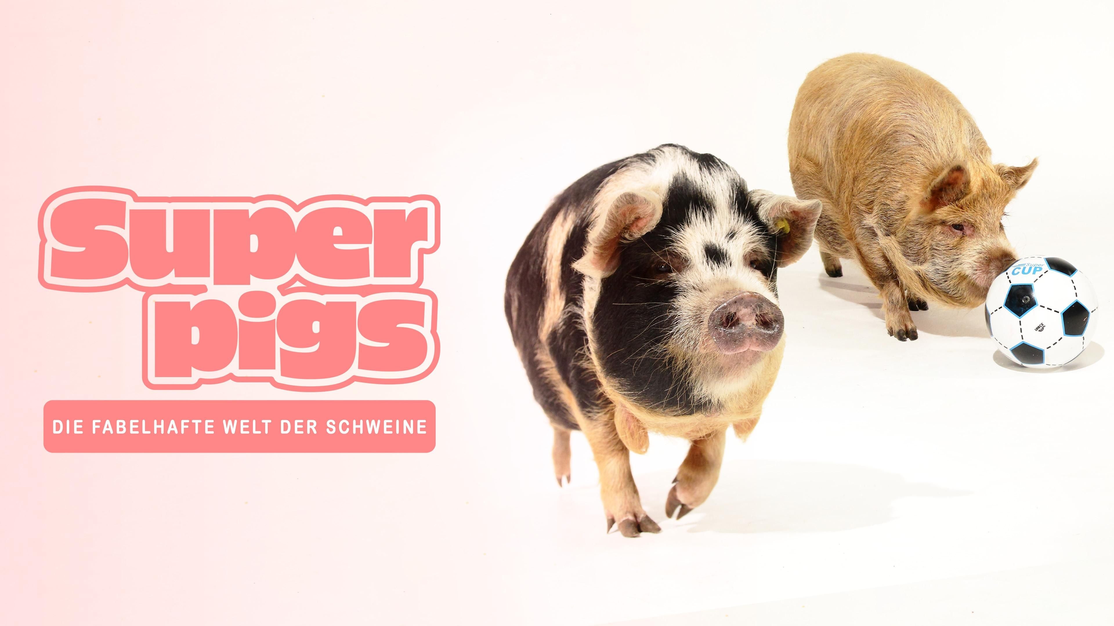 Die fabelhafte Welt der Schweine