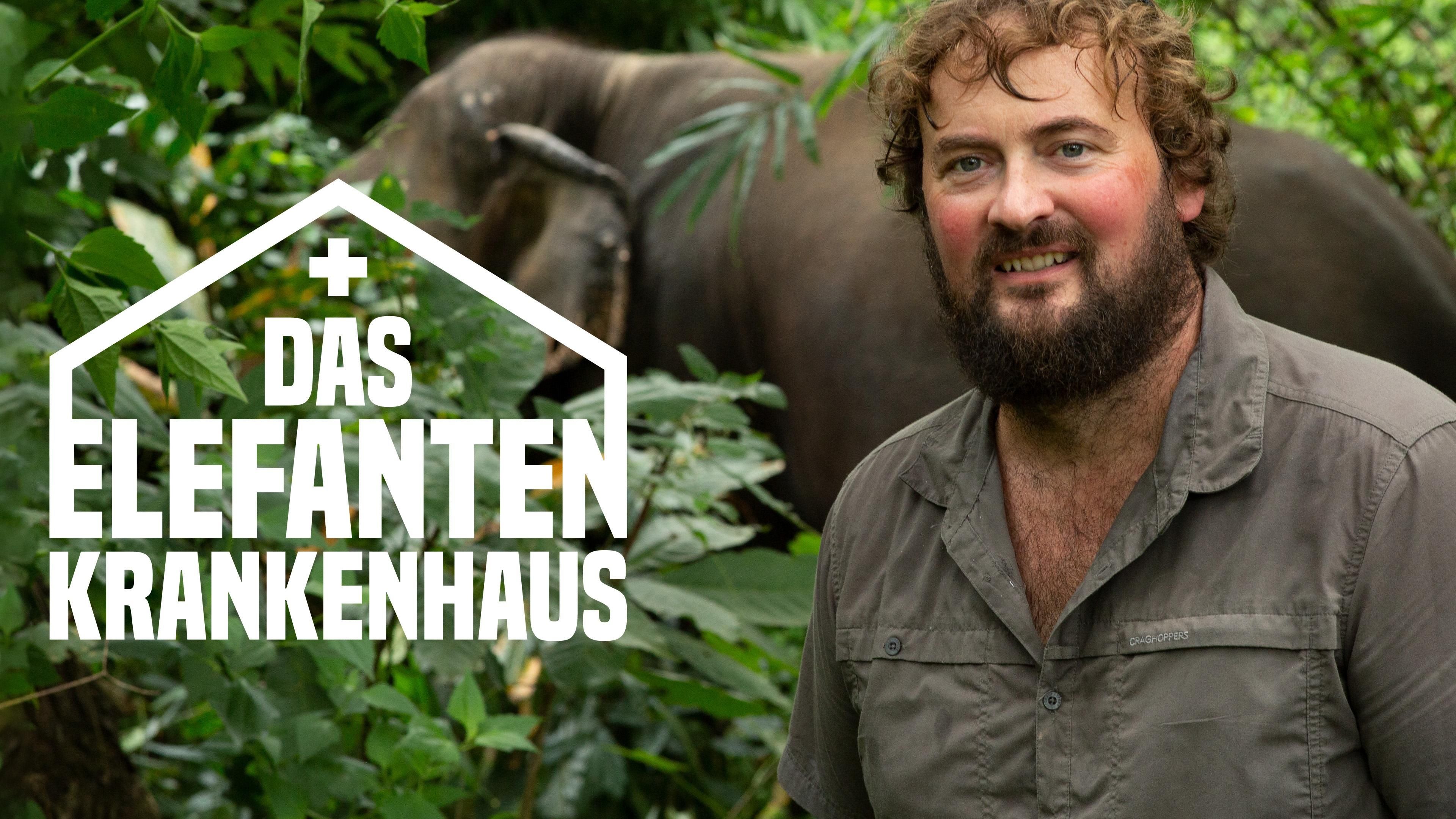 Das Elefantenkrankenhaus
