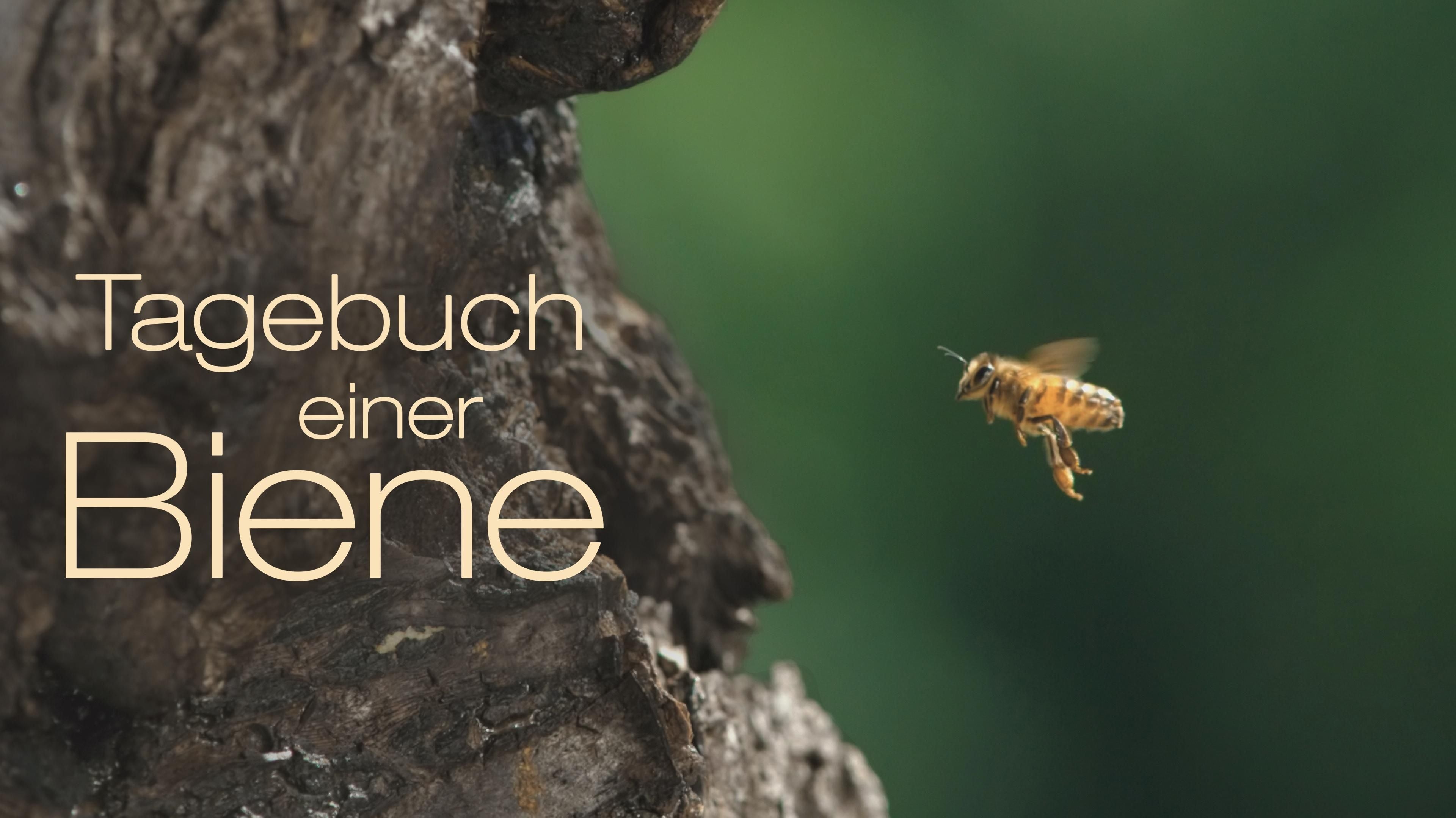 Tagebuch einer Biene