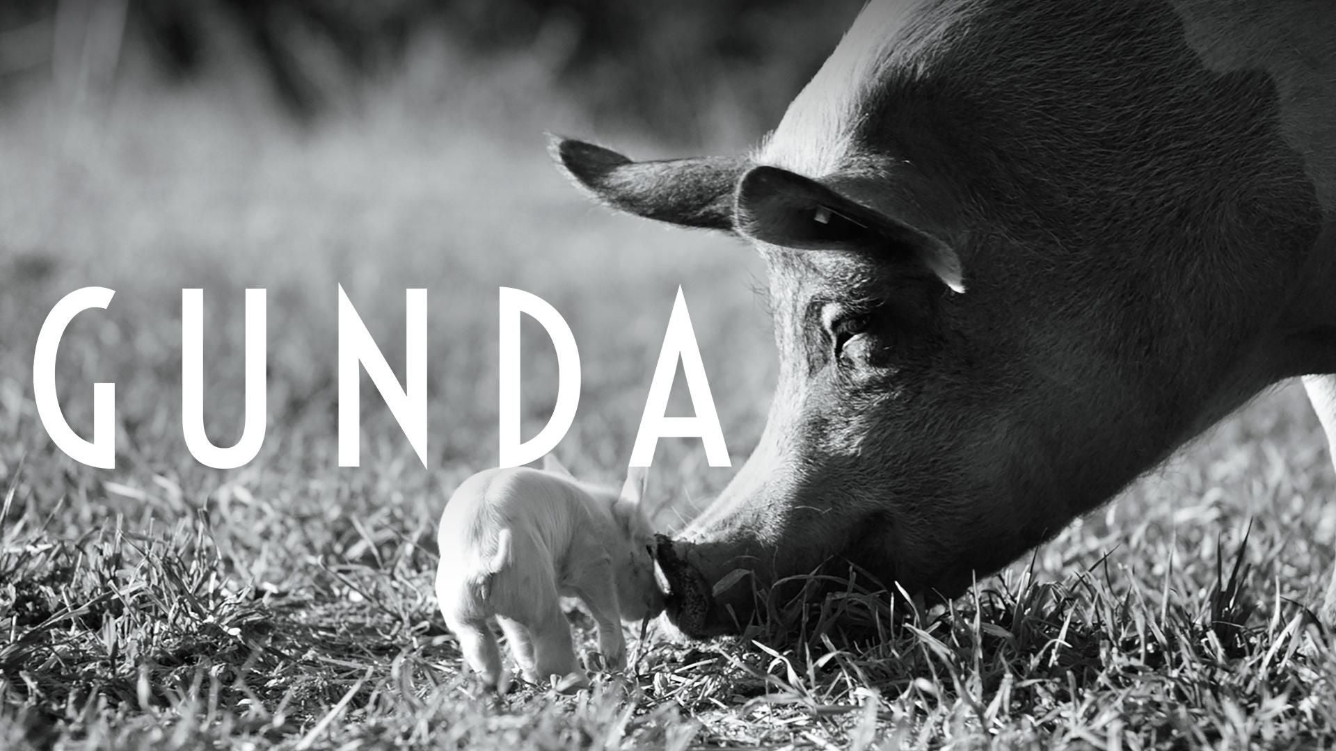 Gunda