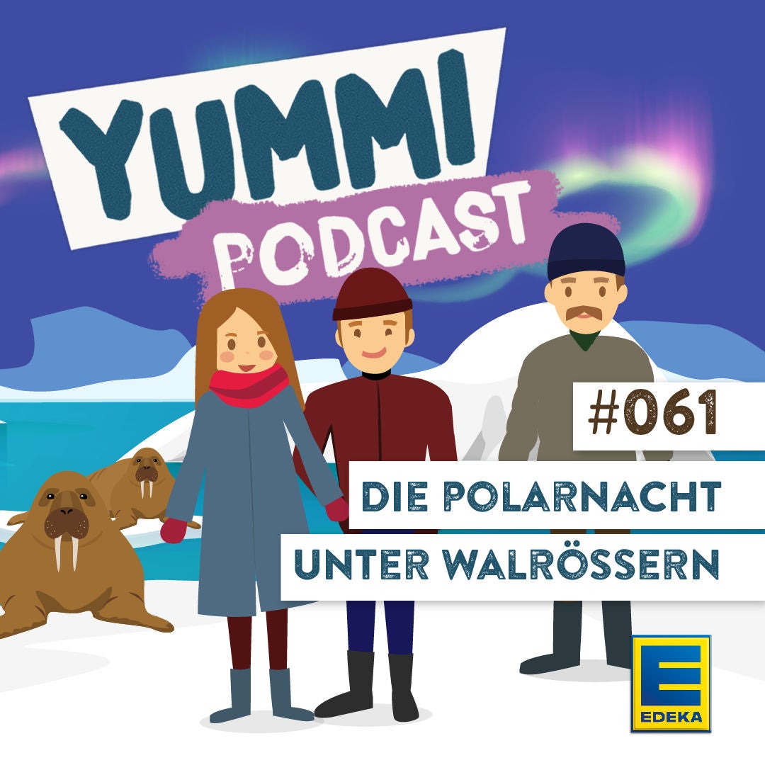 Die Polarnacht unter Walrössern