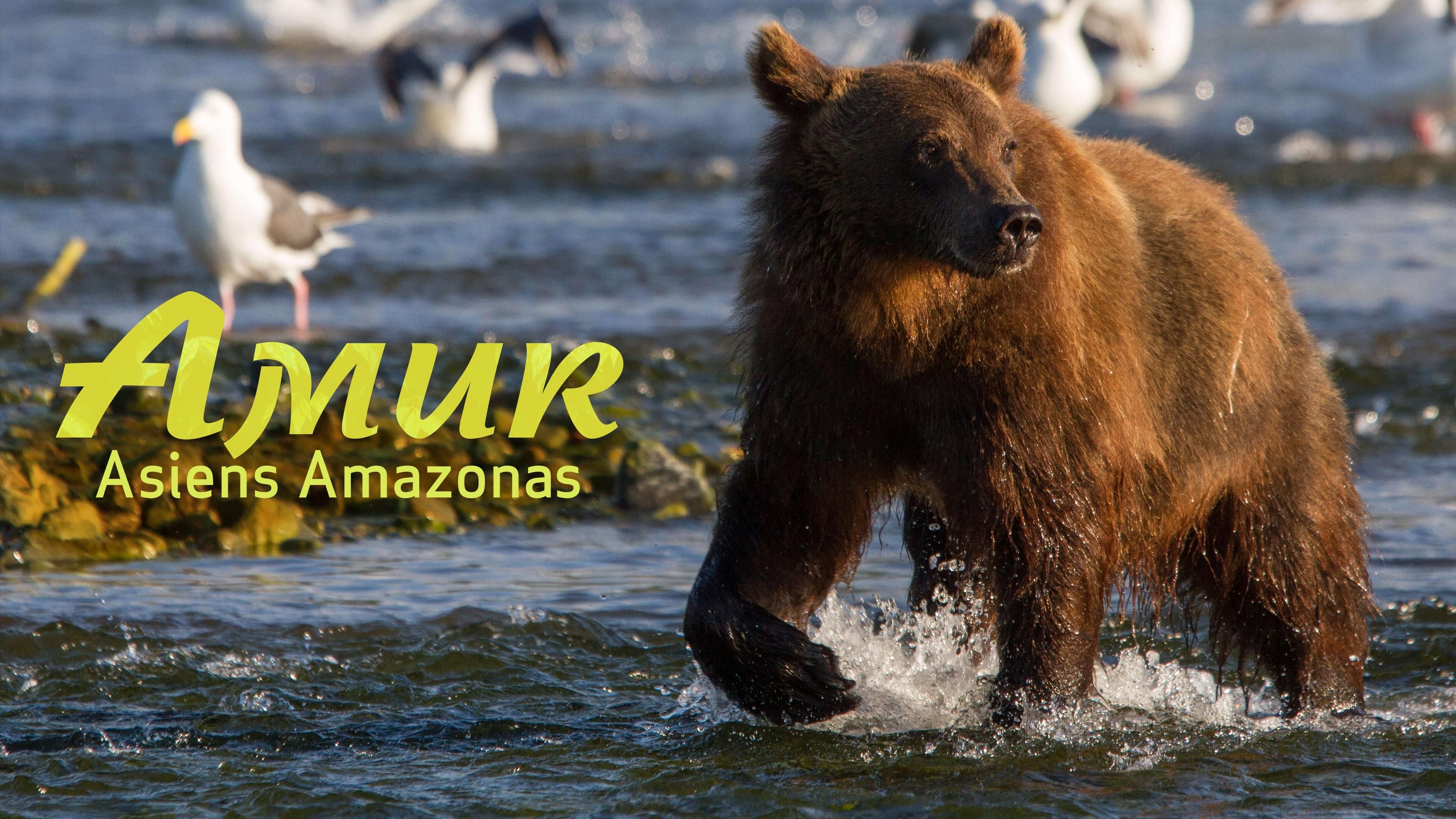 Amur - Asiens Amazonas
