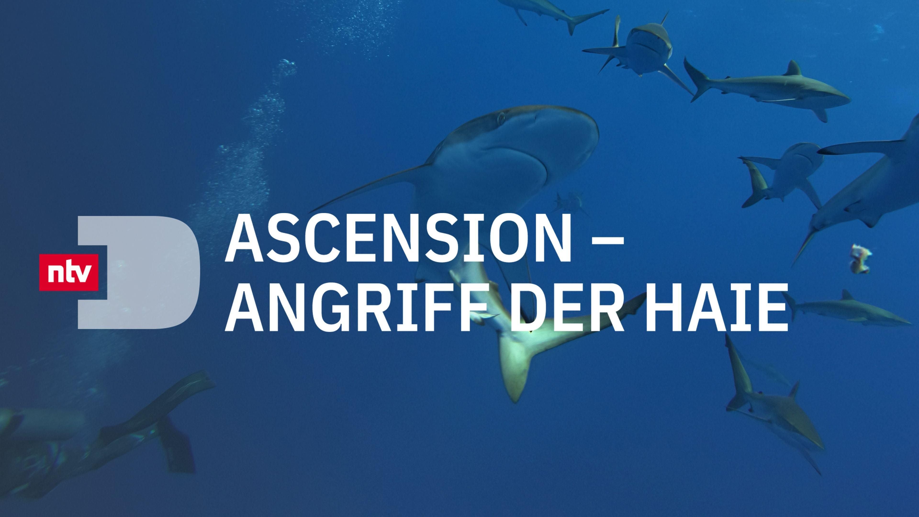 Ascension - Angriff der Haie