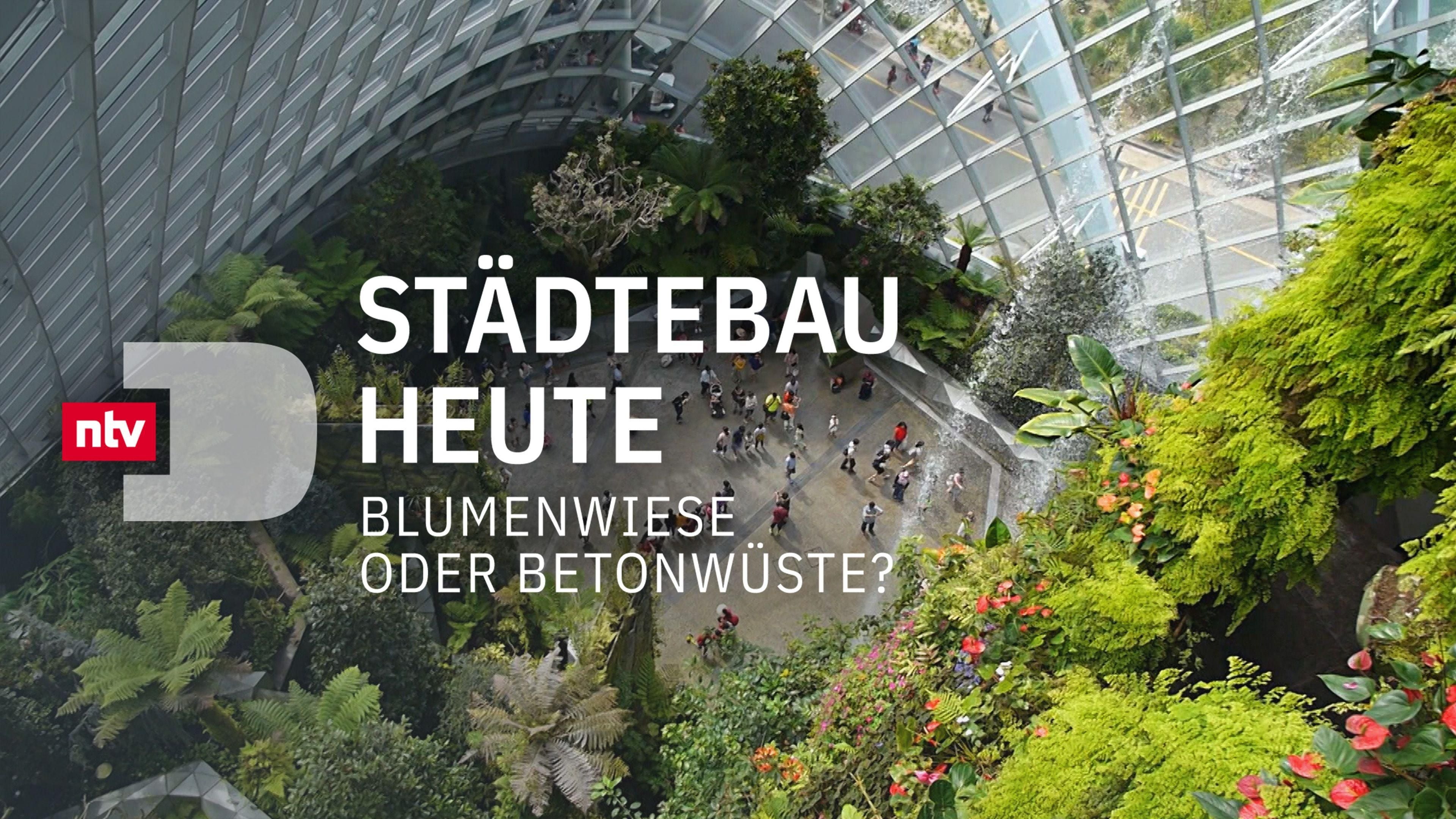 Städtebau heute - Bienenwiese oder Betonwüste?