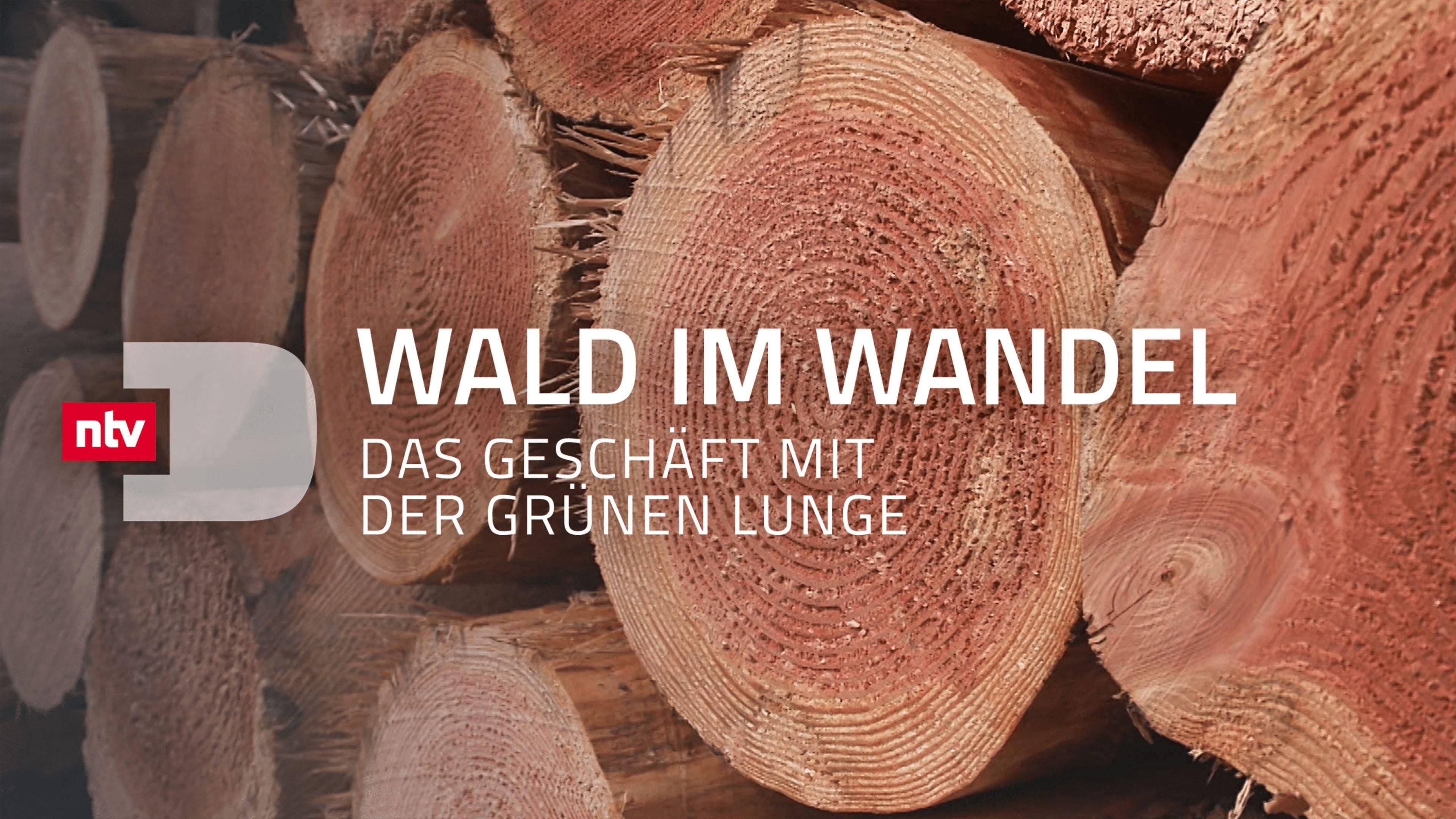 Wald im Wandel - Das Geschäft mit der grünen Lunge