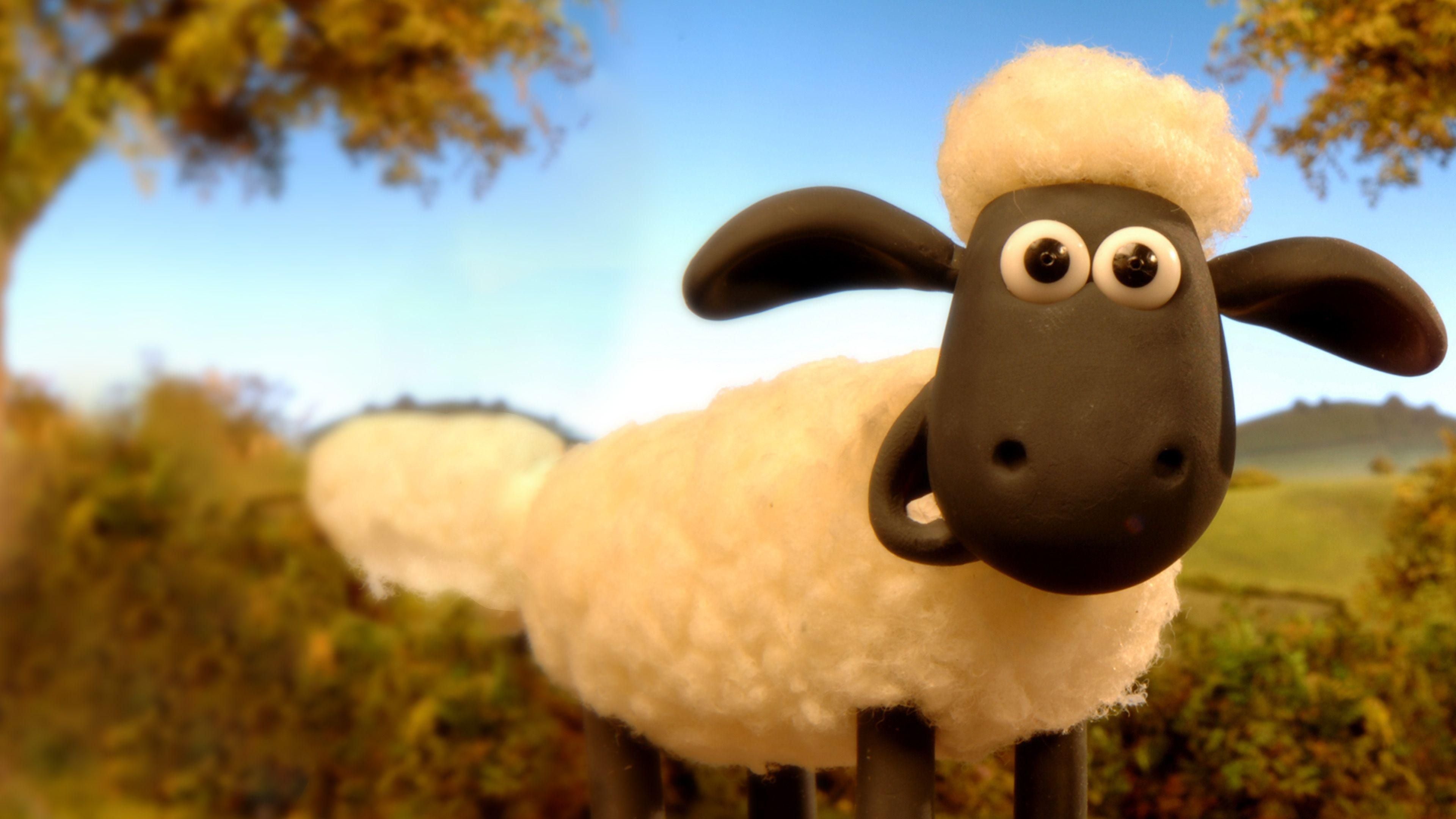 Shaun, das Schaf