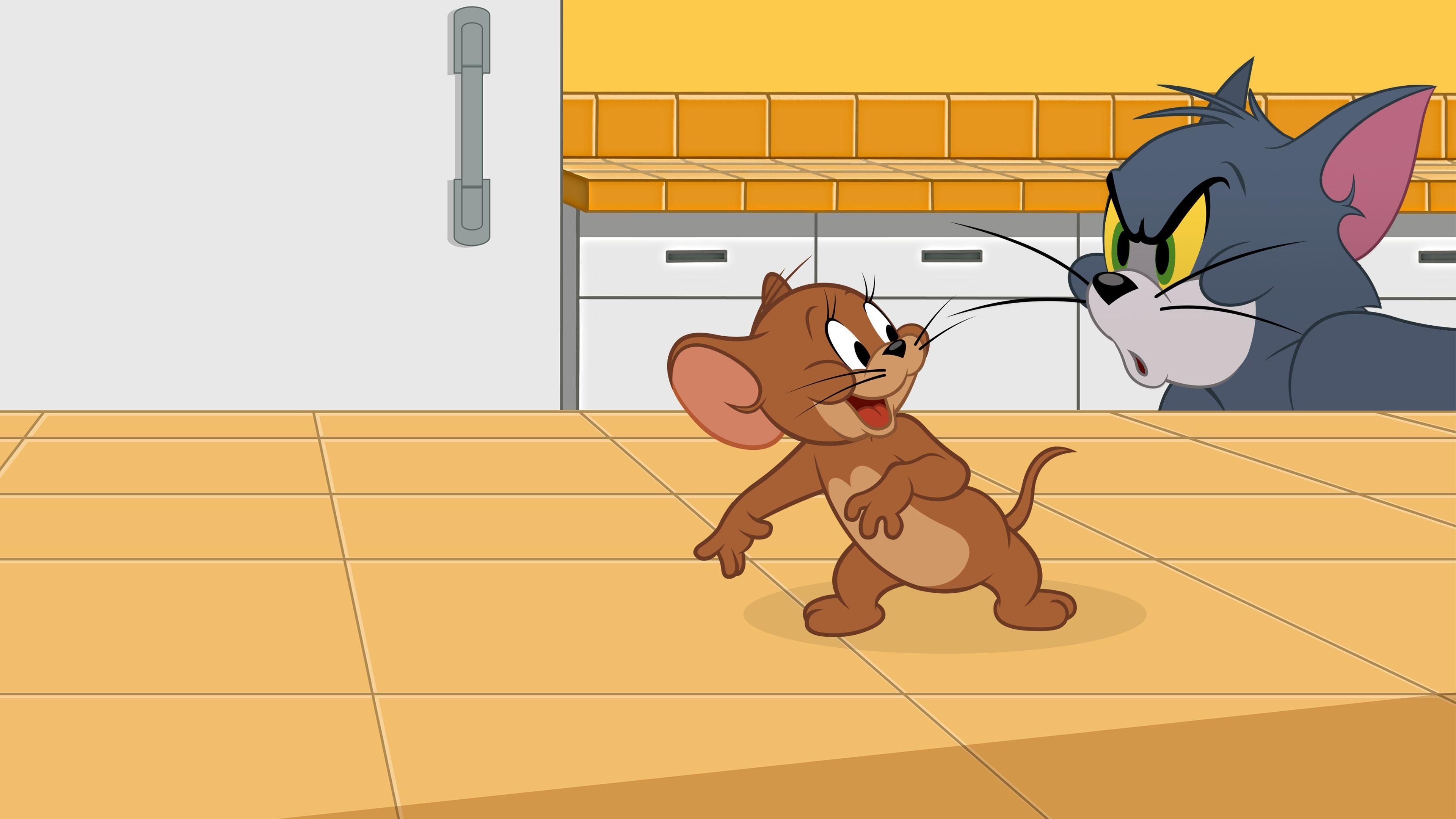 Die Tom und Jerry Show