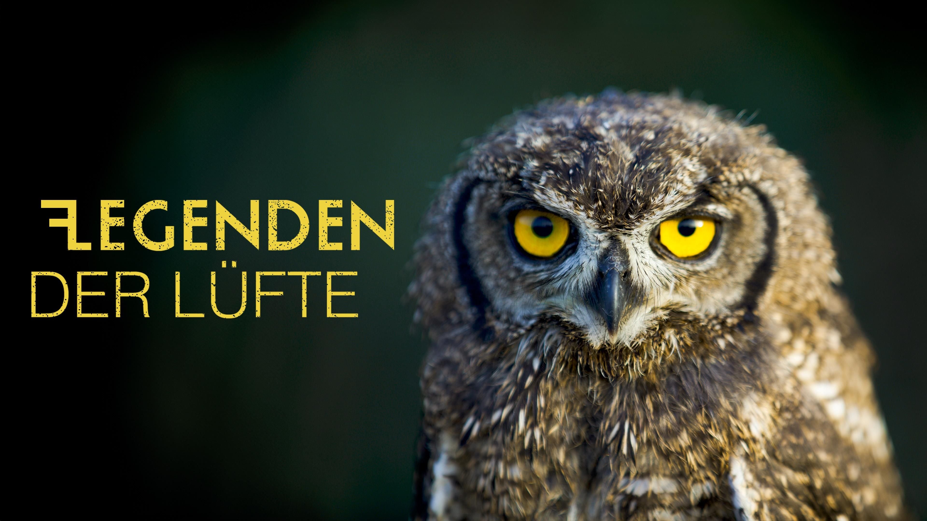 Legenden der Lüfte