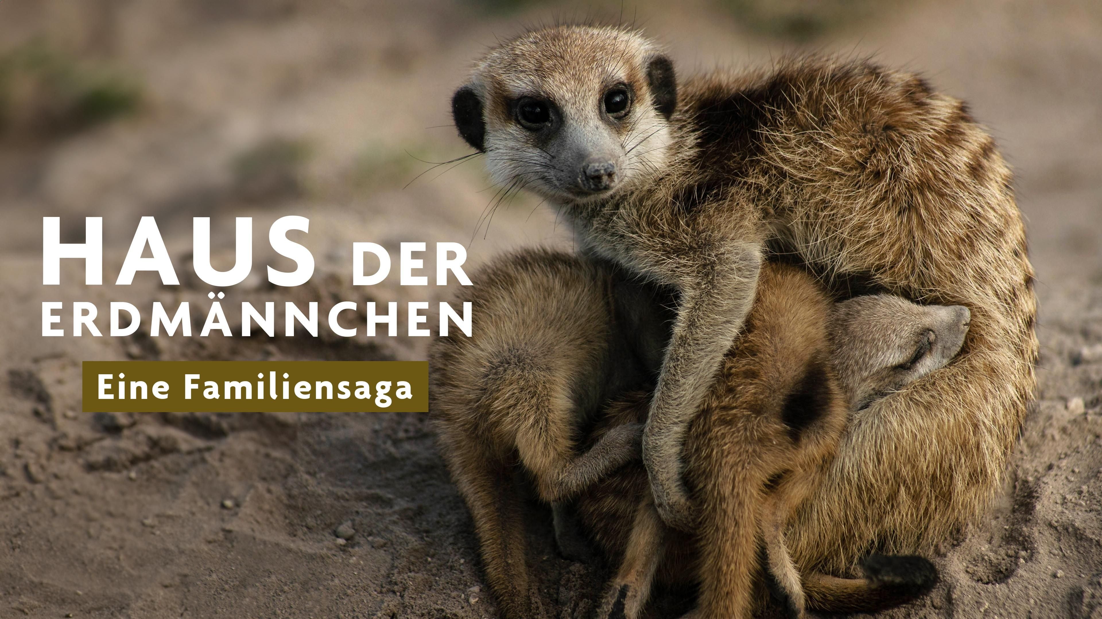 Haus der Erdmännchen - Eine Familiensaga