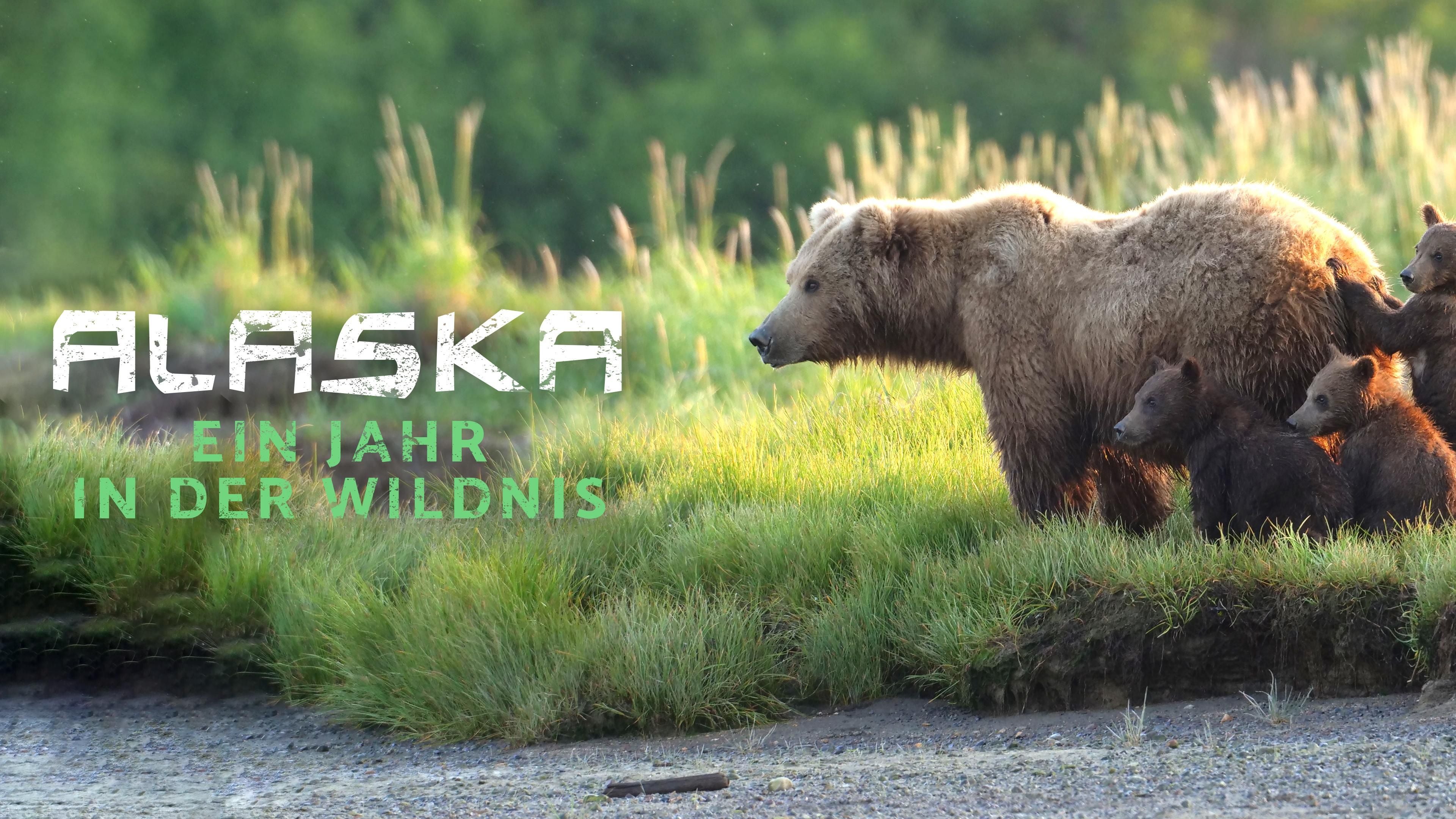 Alaska: Ein Jahr in der Wildnis