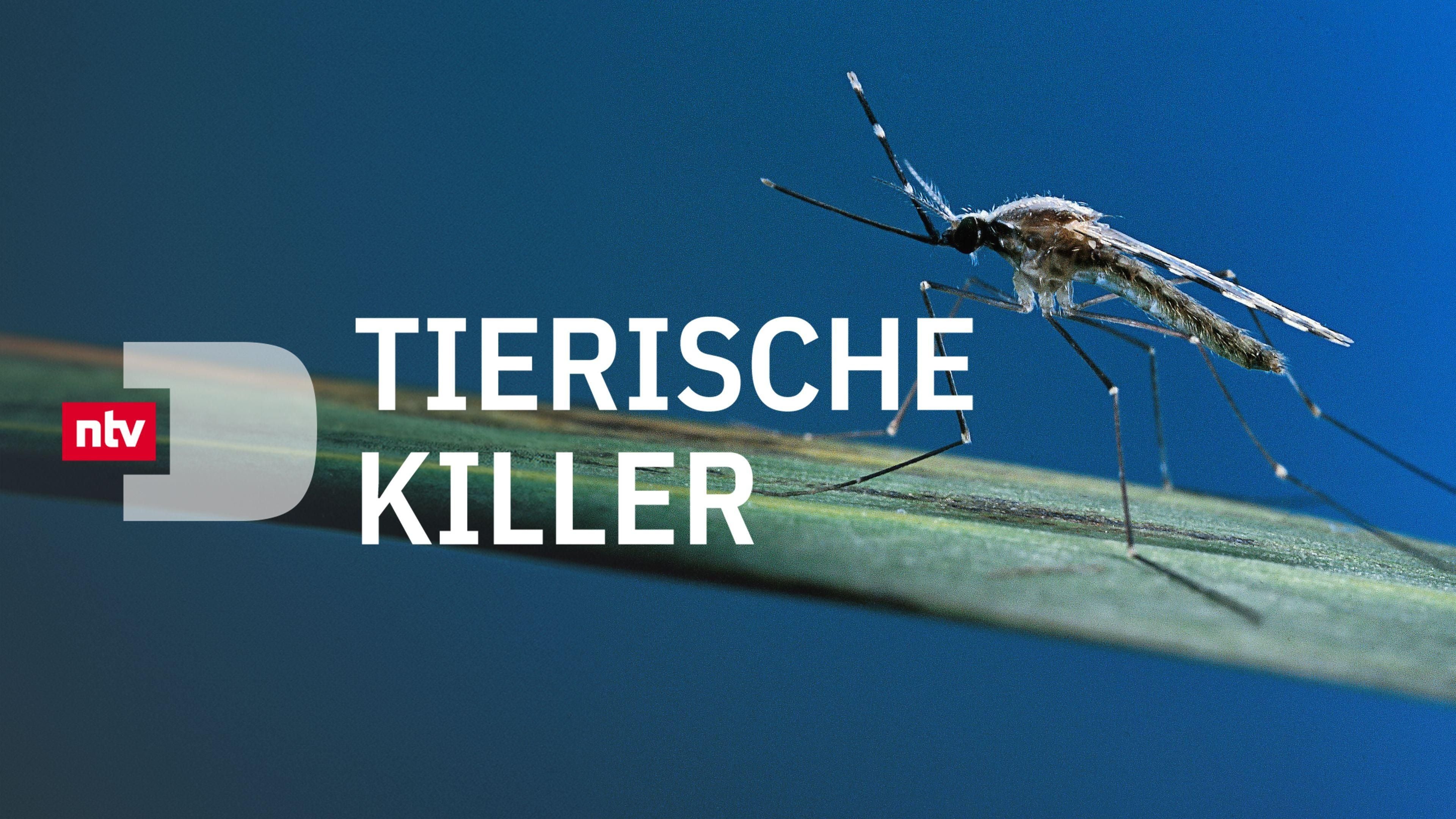 Tierische Killer