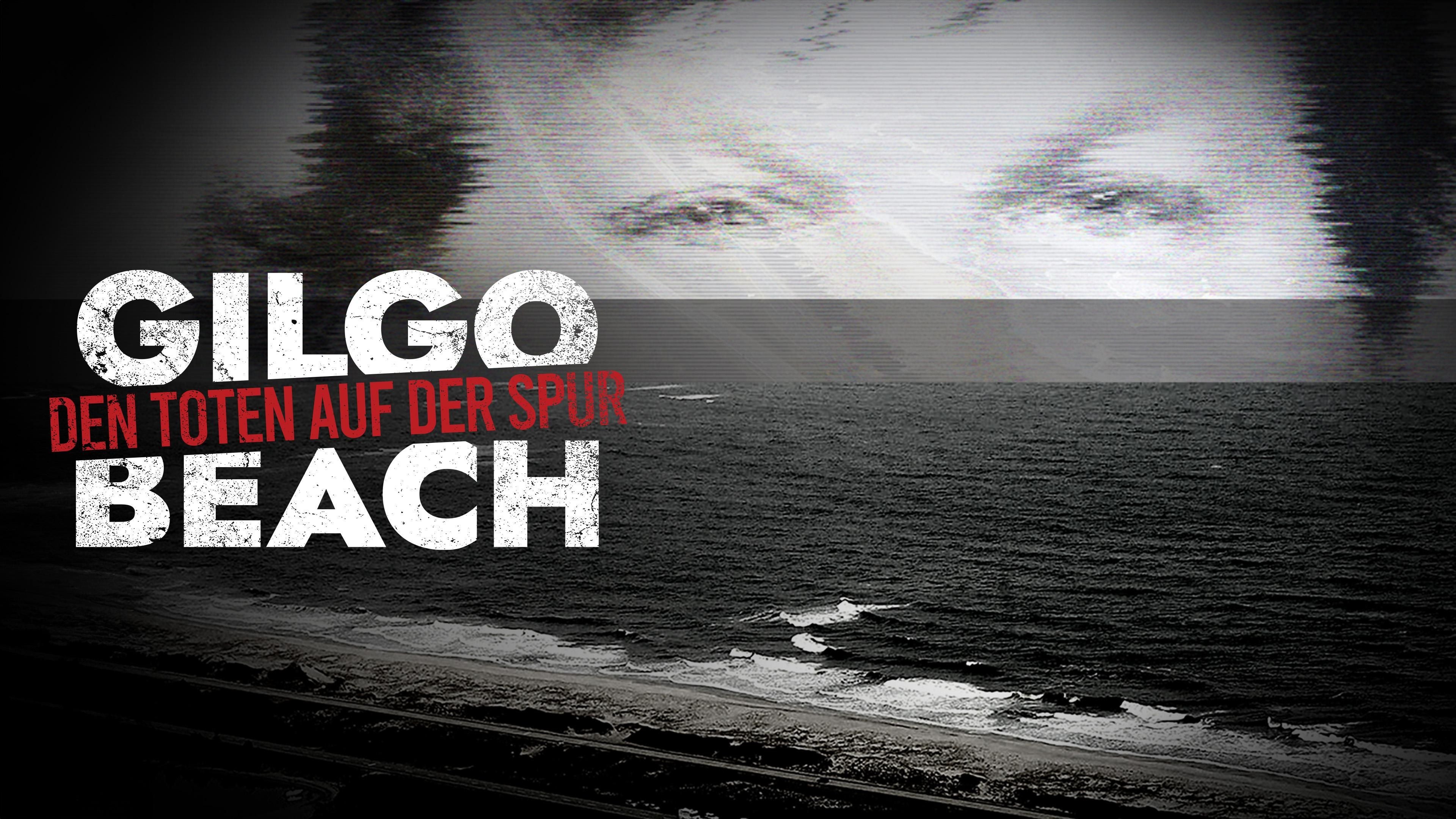 Gilgo Beach - Den Toten auf der Spur