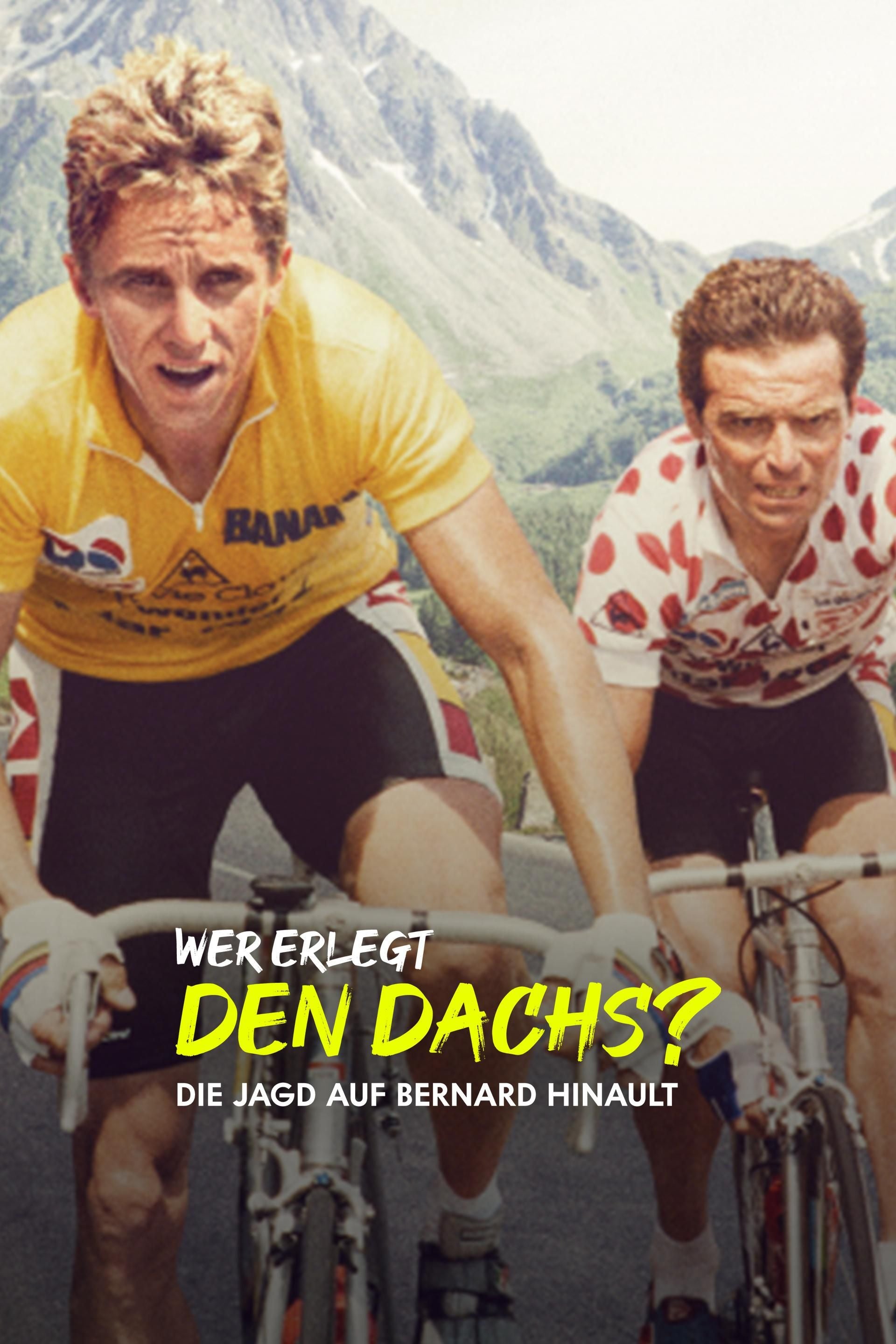 Wer erlegt den Dachs? - Die Jagd auf Bernard Hinault